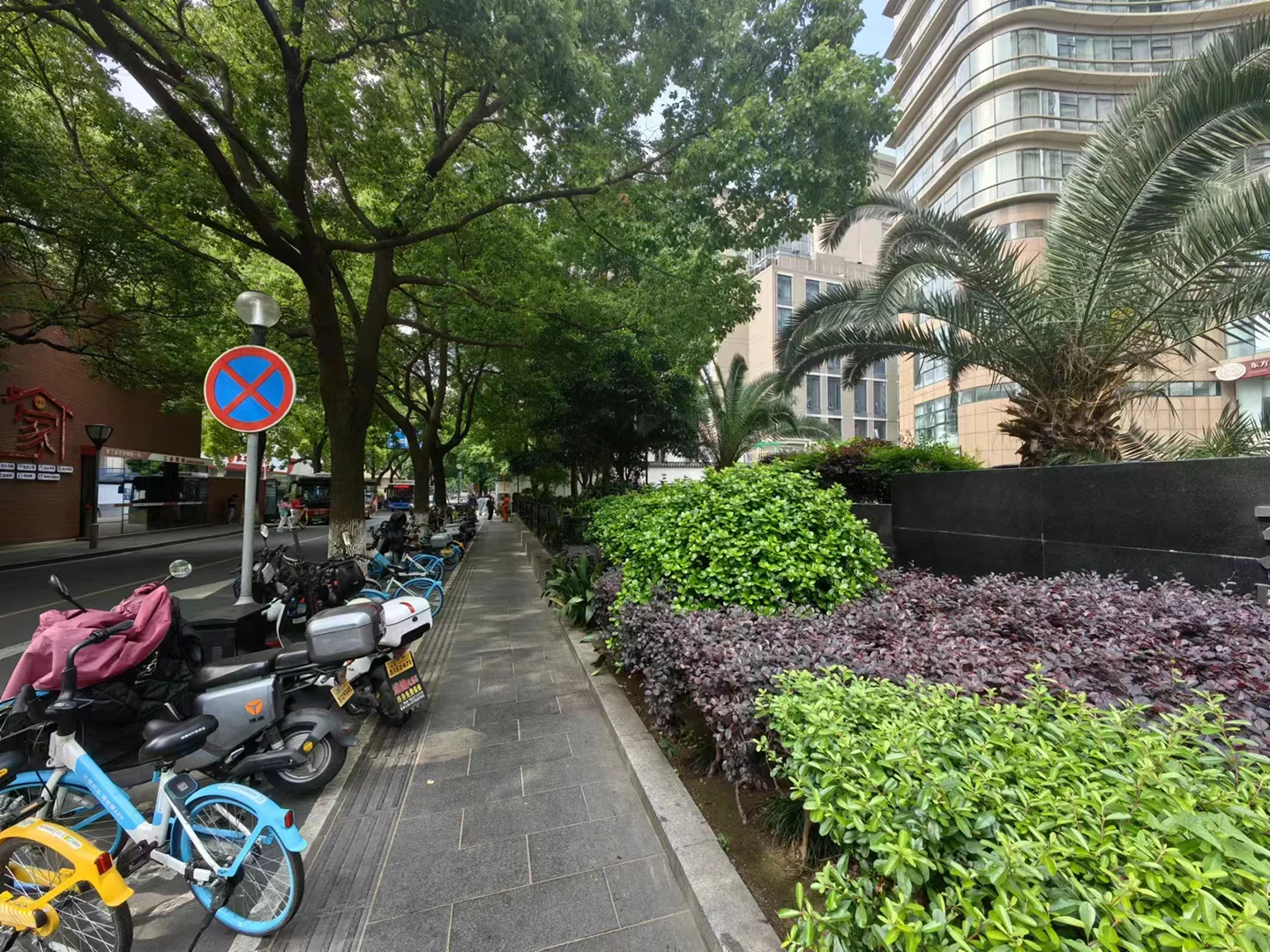 Oriental Golden - Photo 7