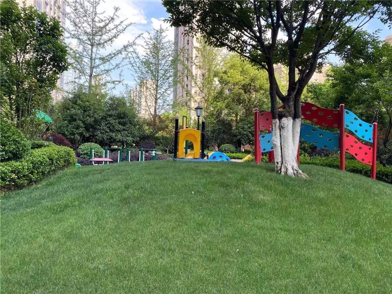 Shimao Lunar Glory - Photo 8