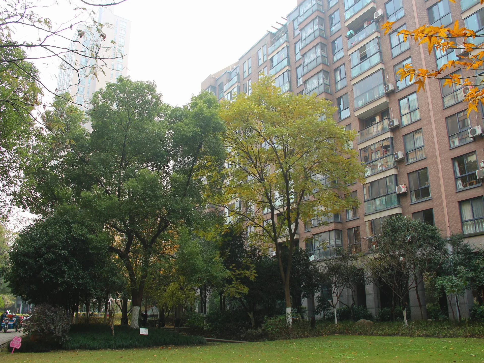 New Century City - Photo 14