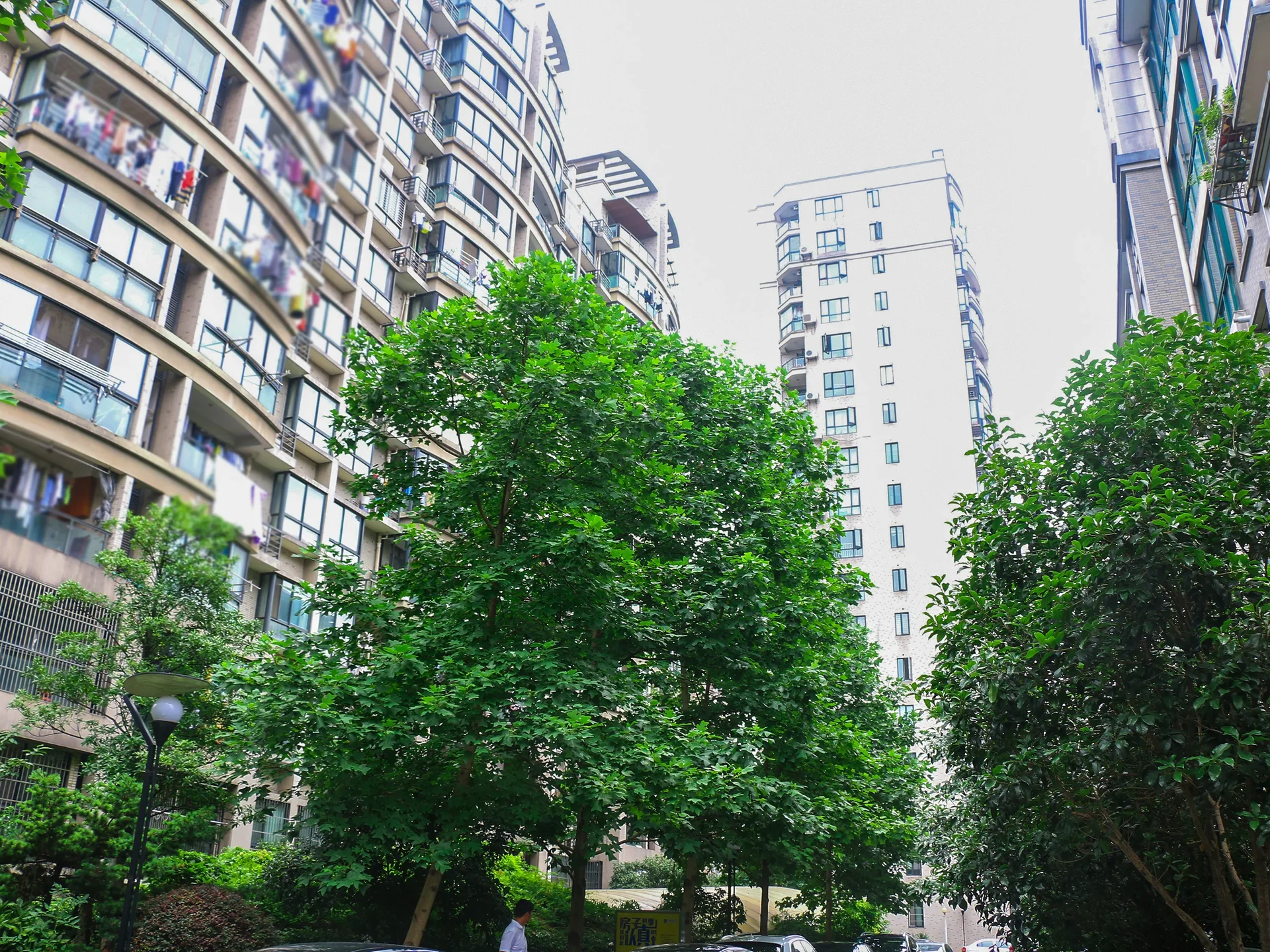 Natural Harvest Garden - Photo 10