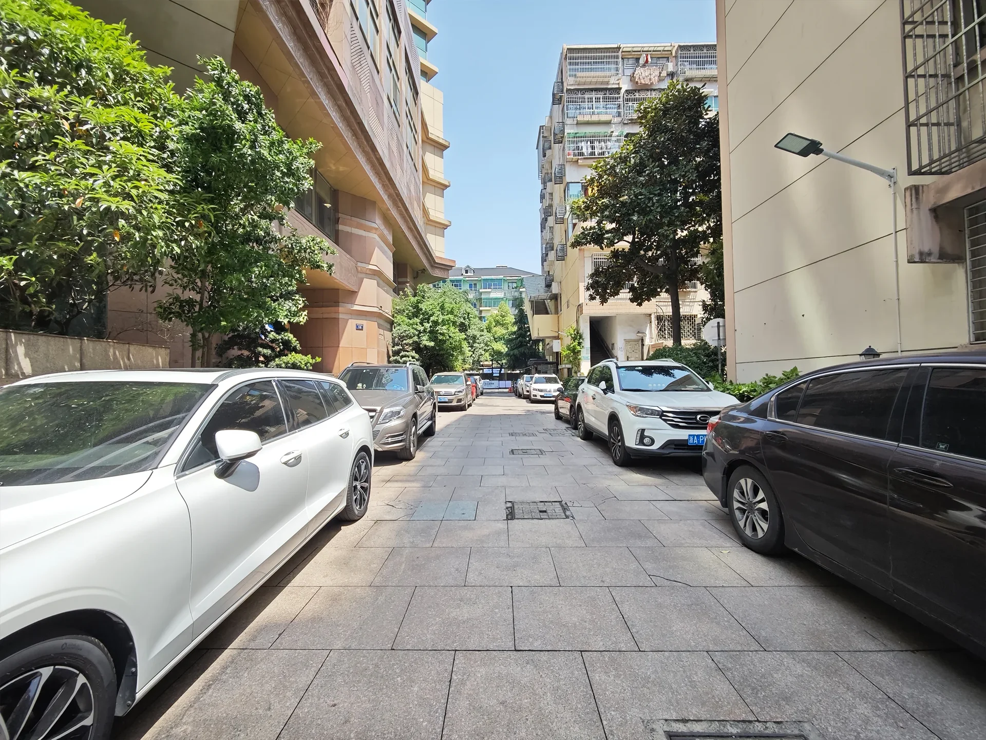 Triumph Coast Mansion - Photo 5