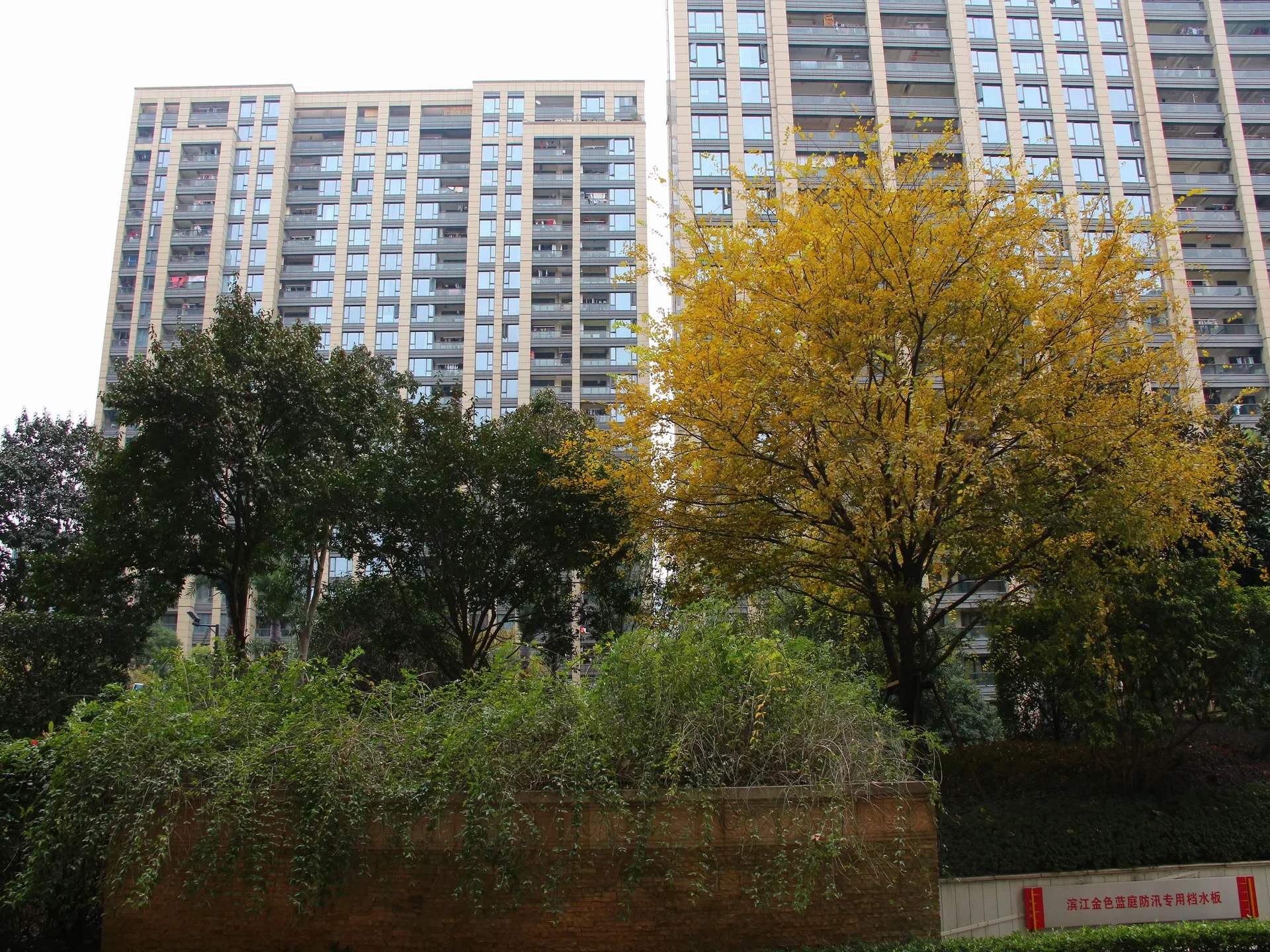 Golden Blue Court - Photo 17