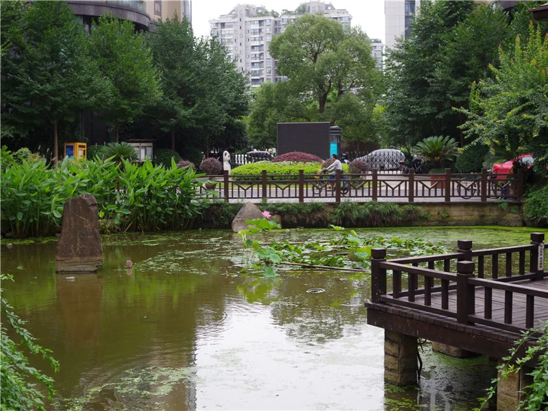 YJ Cultural Garden - Photo 40