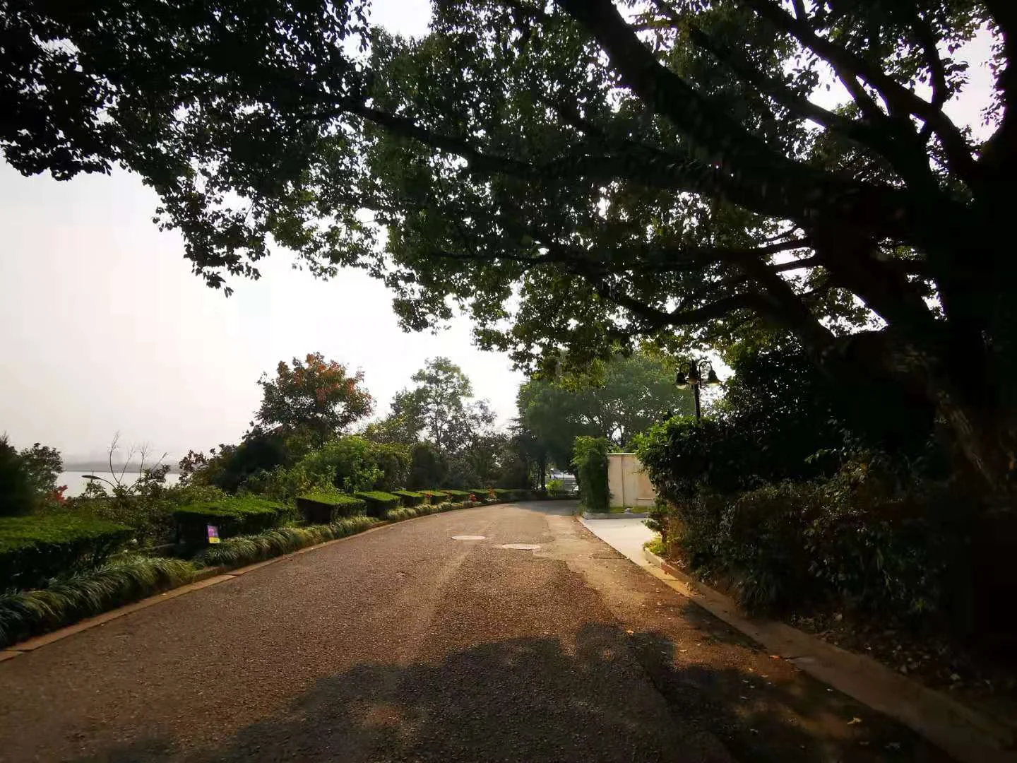 Jiuxi Rose Garden  - Photo 16