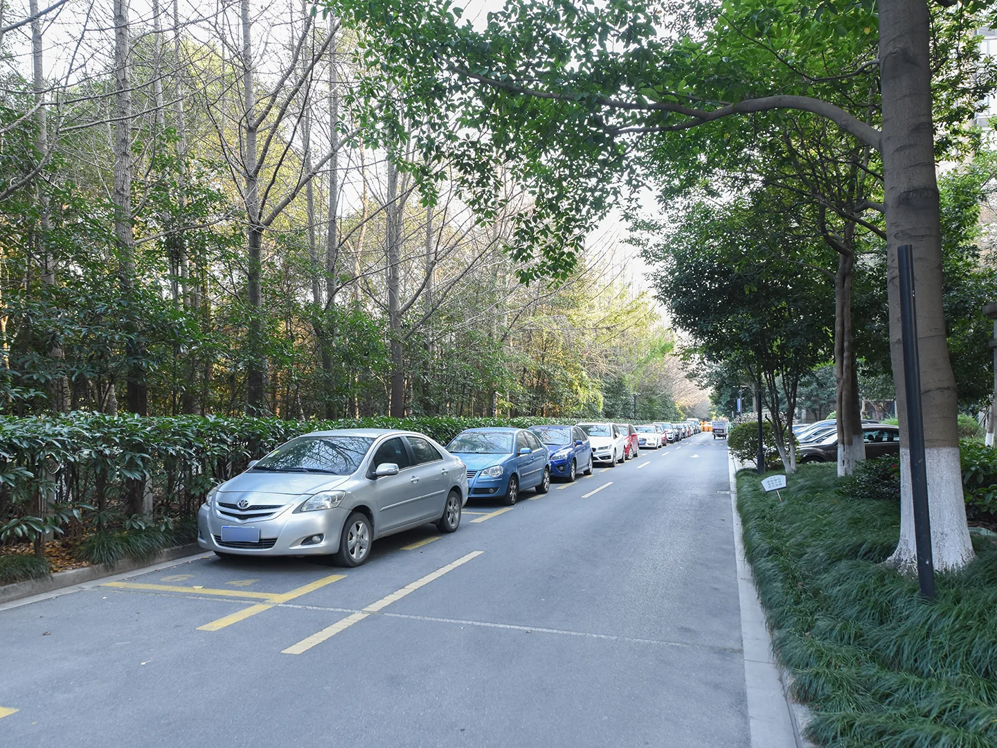 Hetian Fashion City - Photo 17