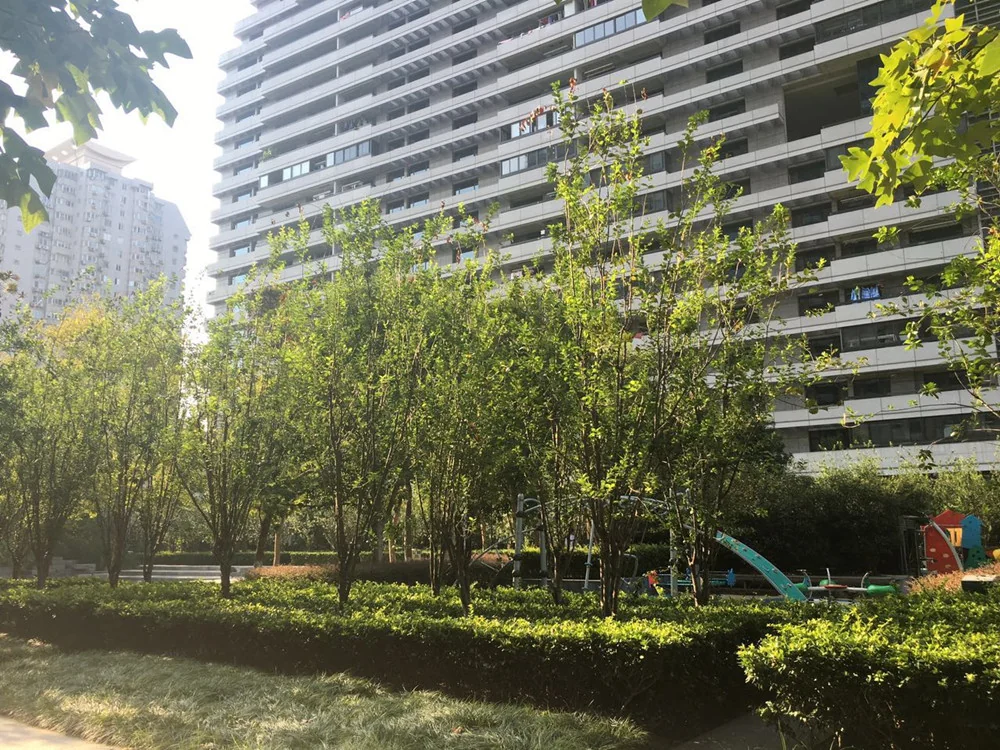 Jindu Matrix - Photo 19