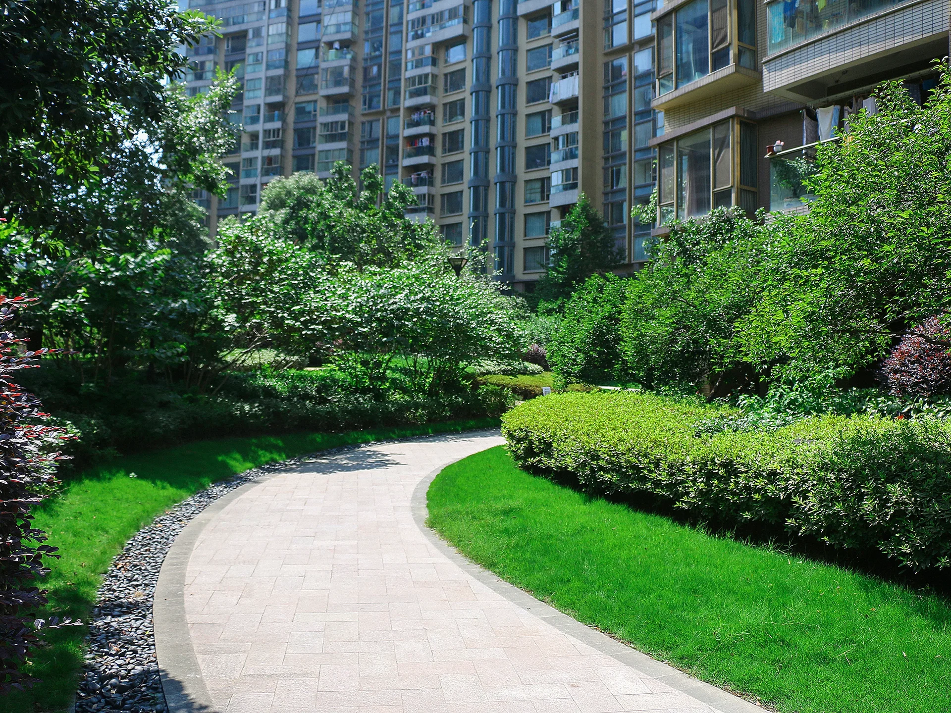 New City International - Photo 13