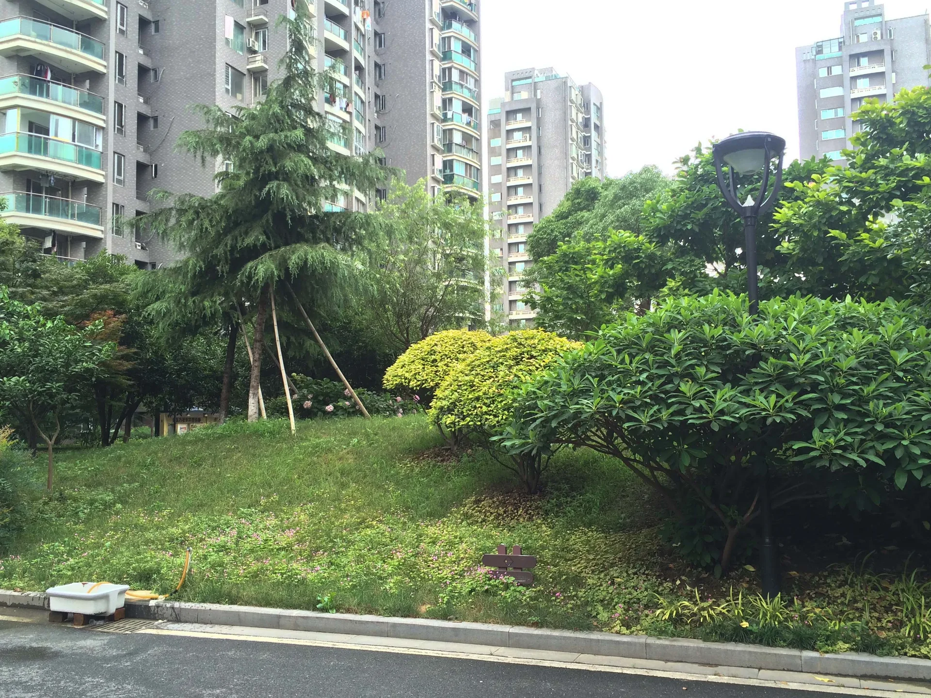 Platinum Era - Photo 4