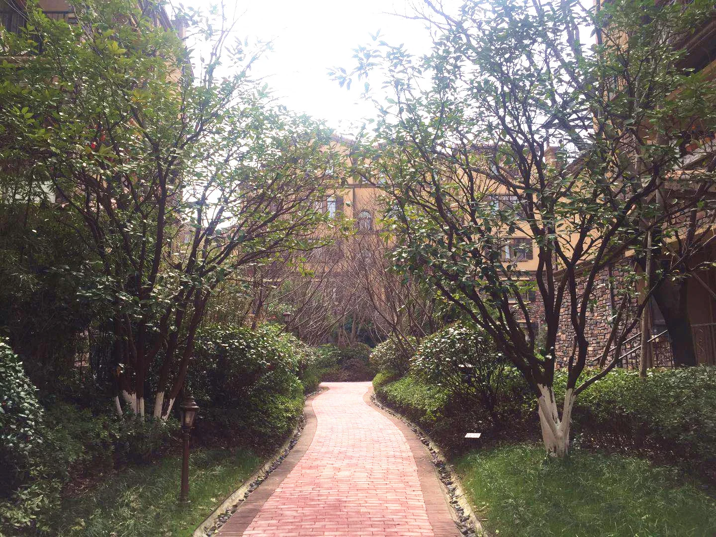 Allinsun Garden - Photo 8