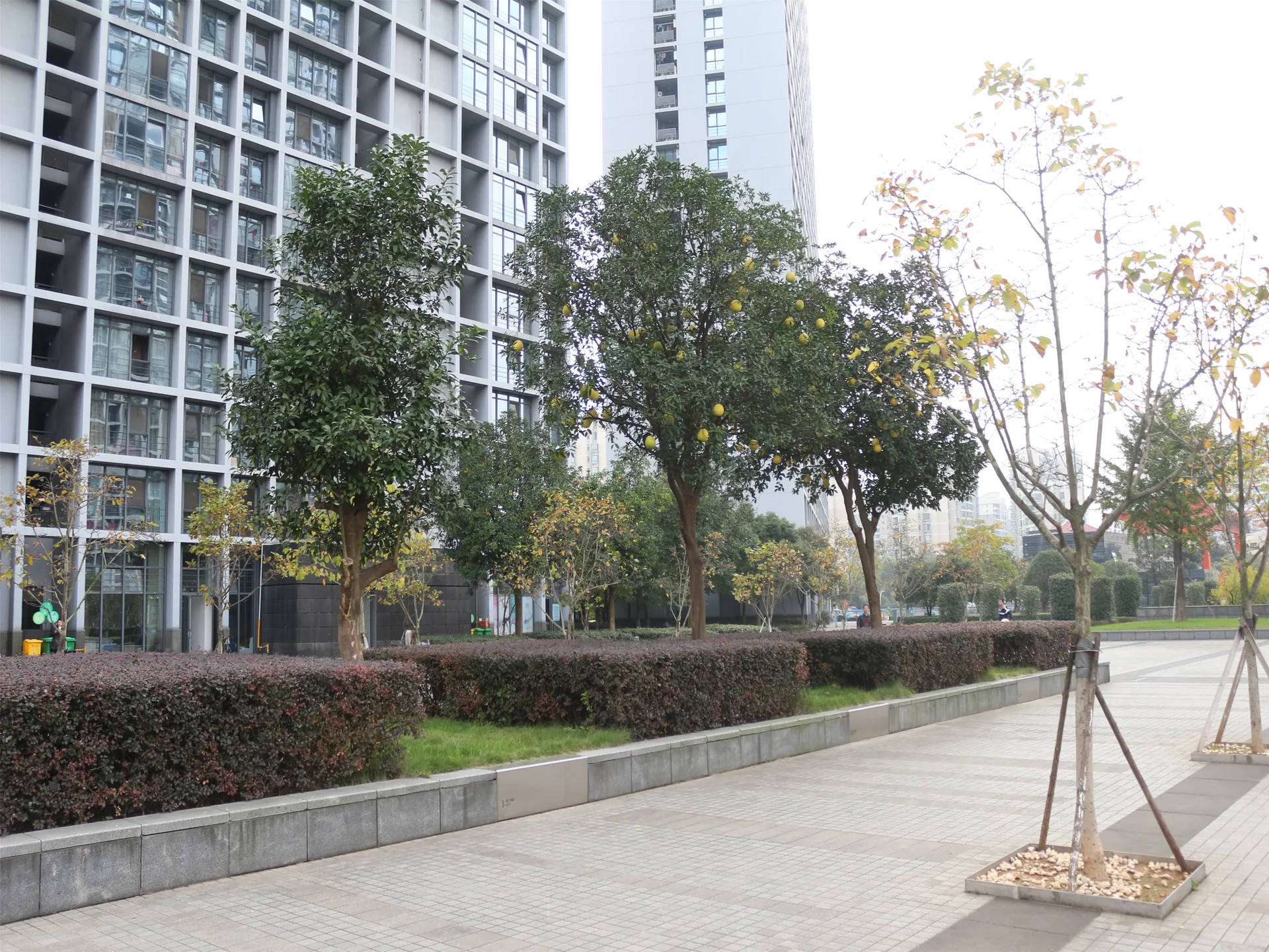 Beyond City - Photo 16