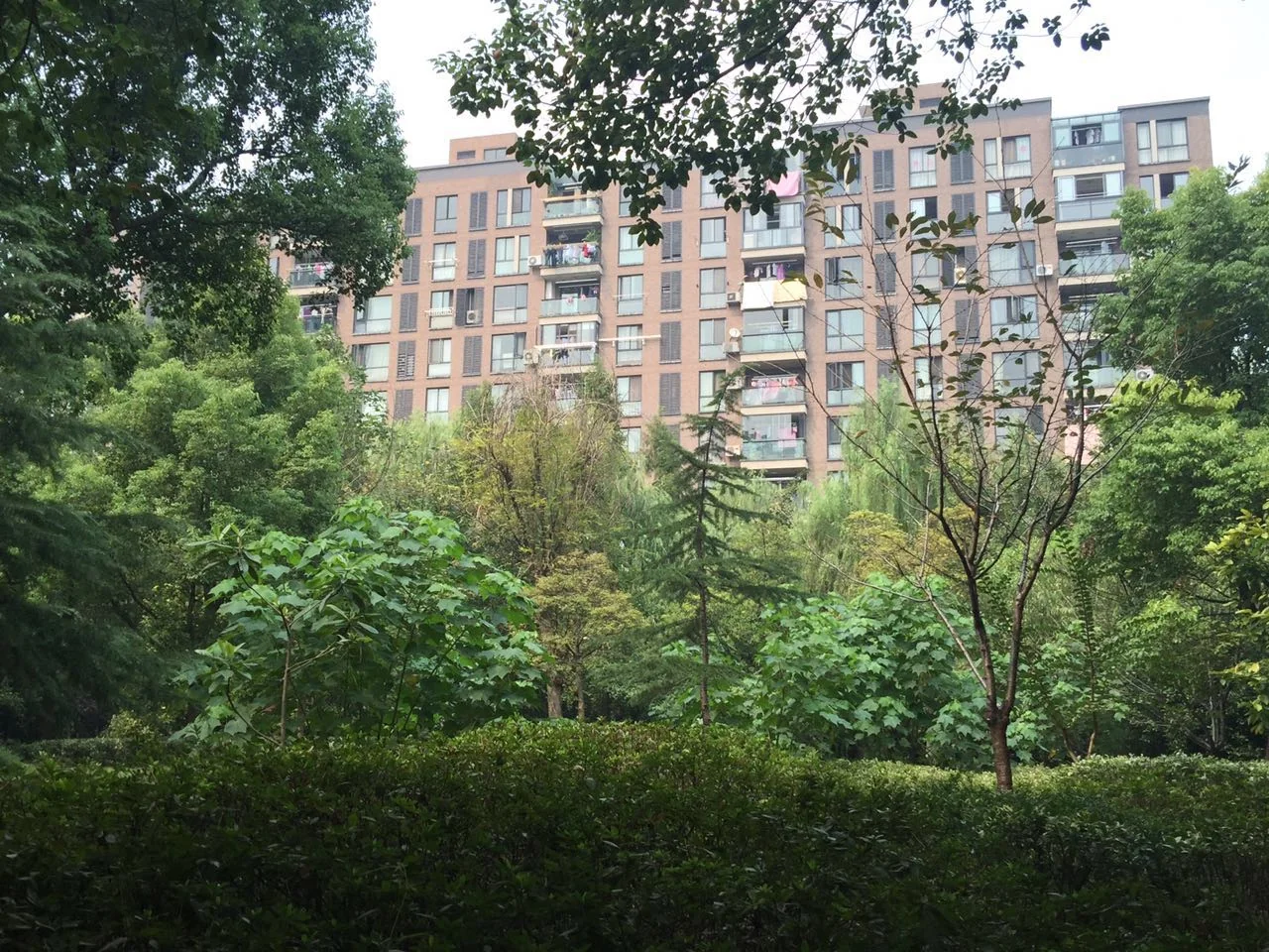 New Century City - Photo 25