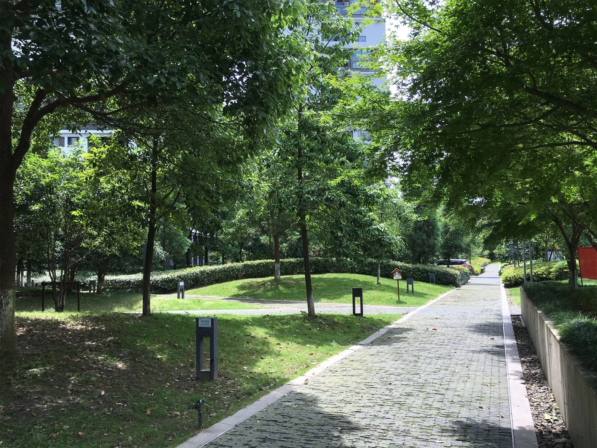 The Times - Photo 23