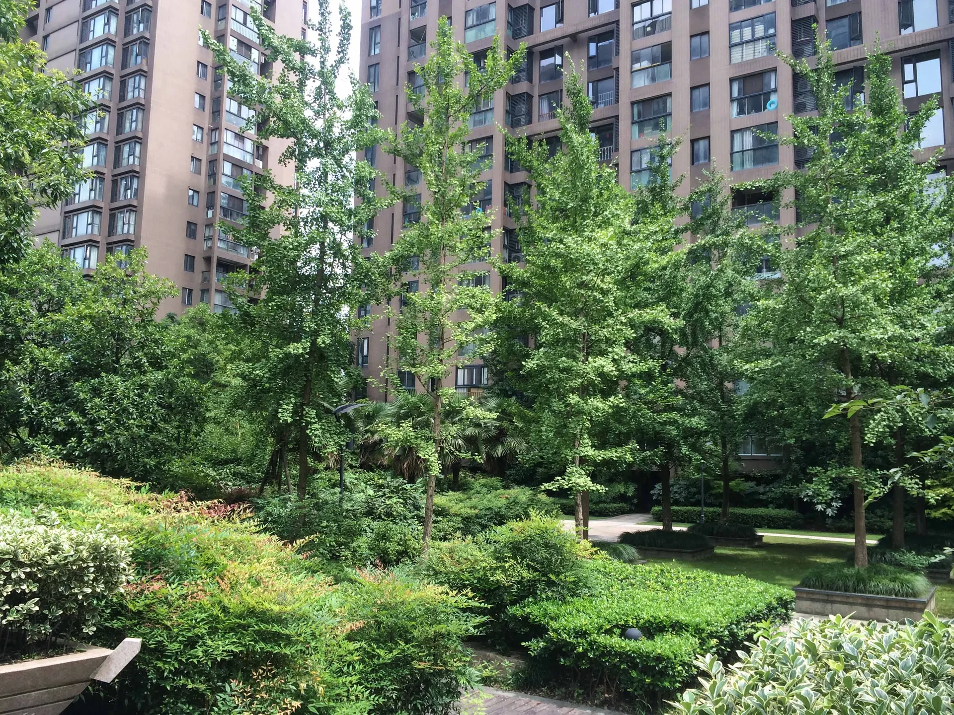 Ruili Central Flower City - Photo 6