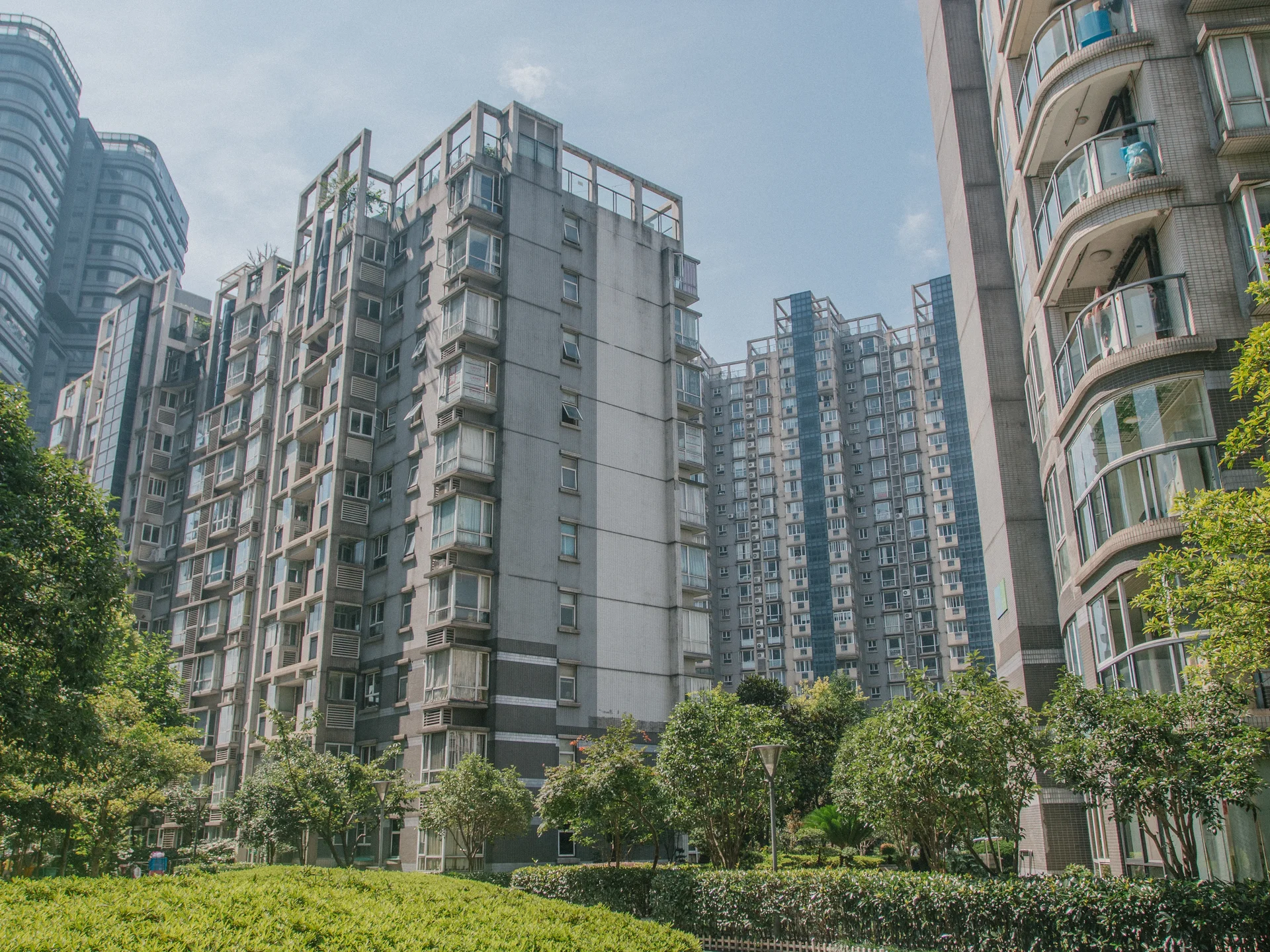 Modern  Garden - Photo 13