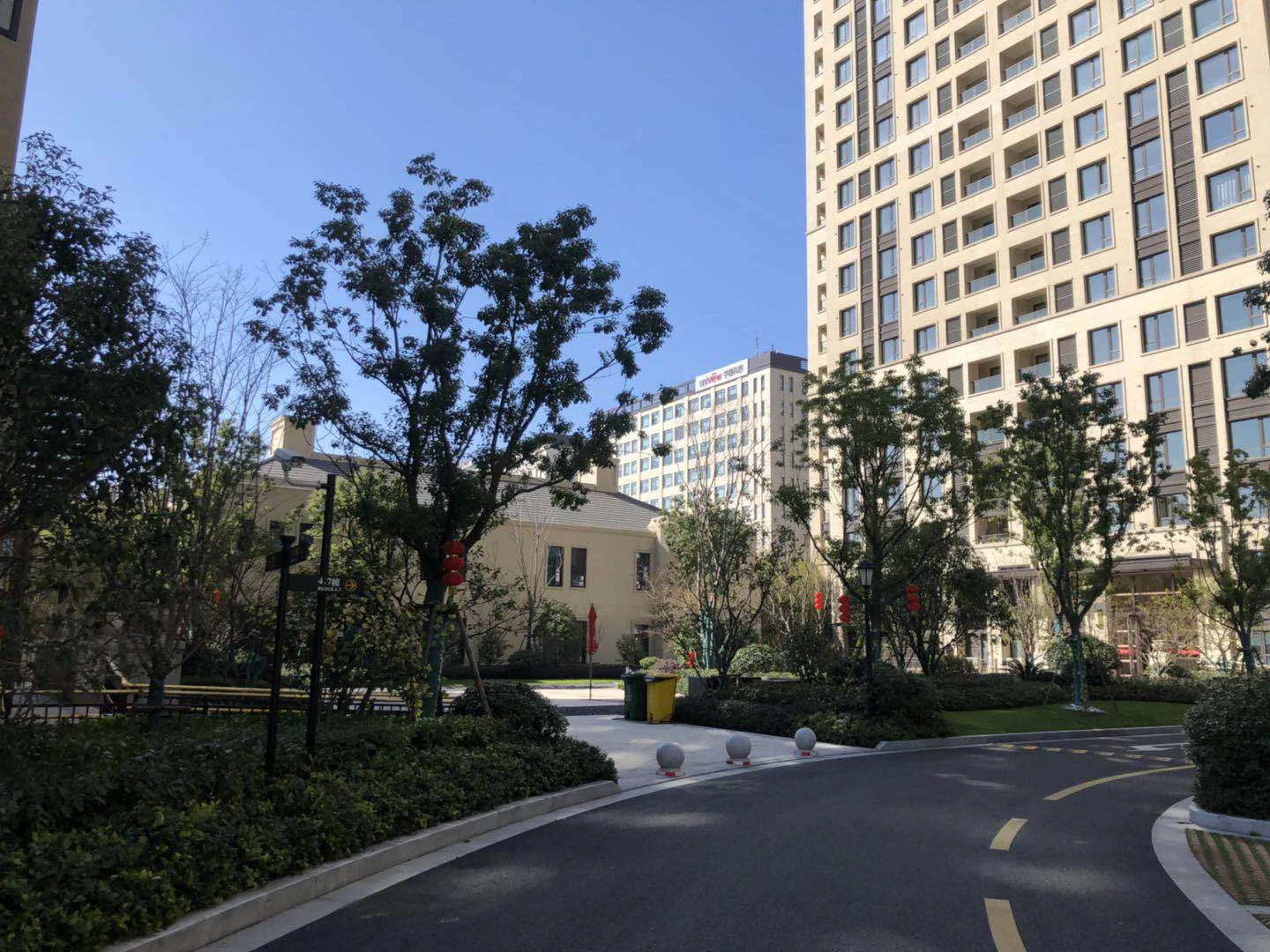 Golden Dawn Light - Photo 12