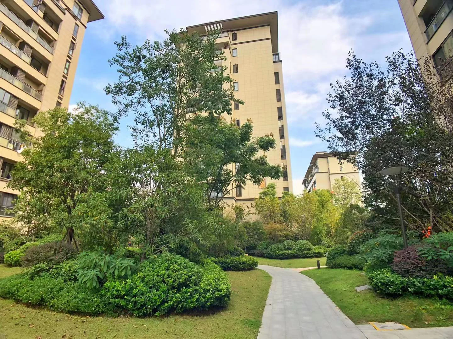 R&F No.10 Garden - Photo 13