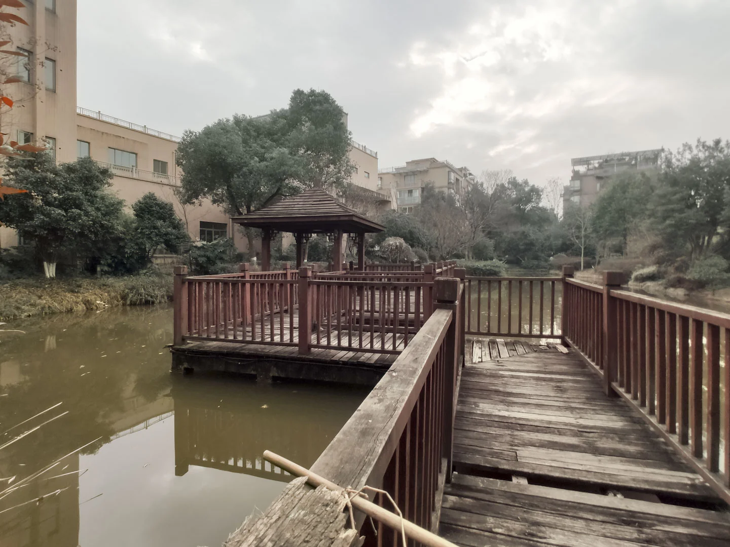 Flourish Garden - Photo 7