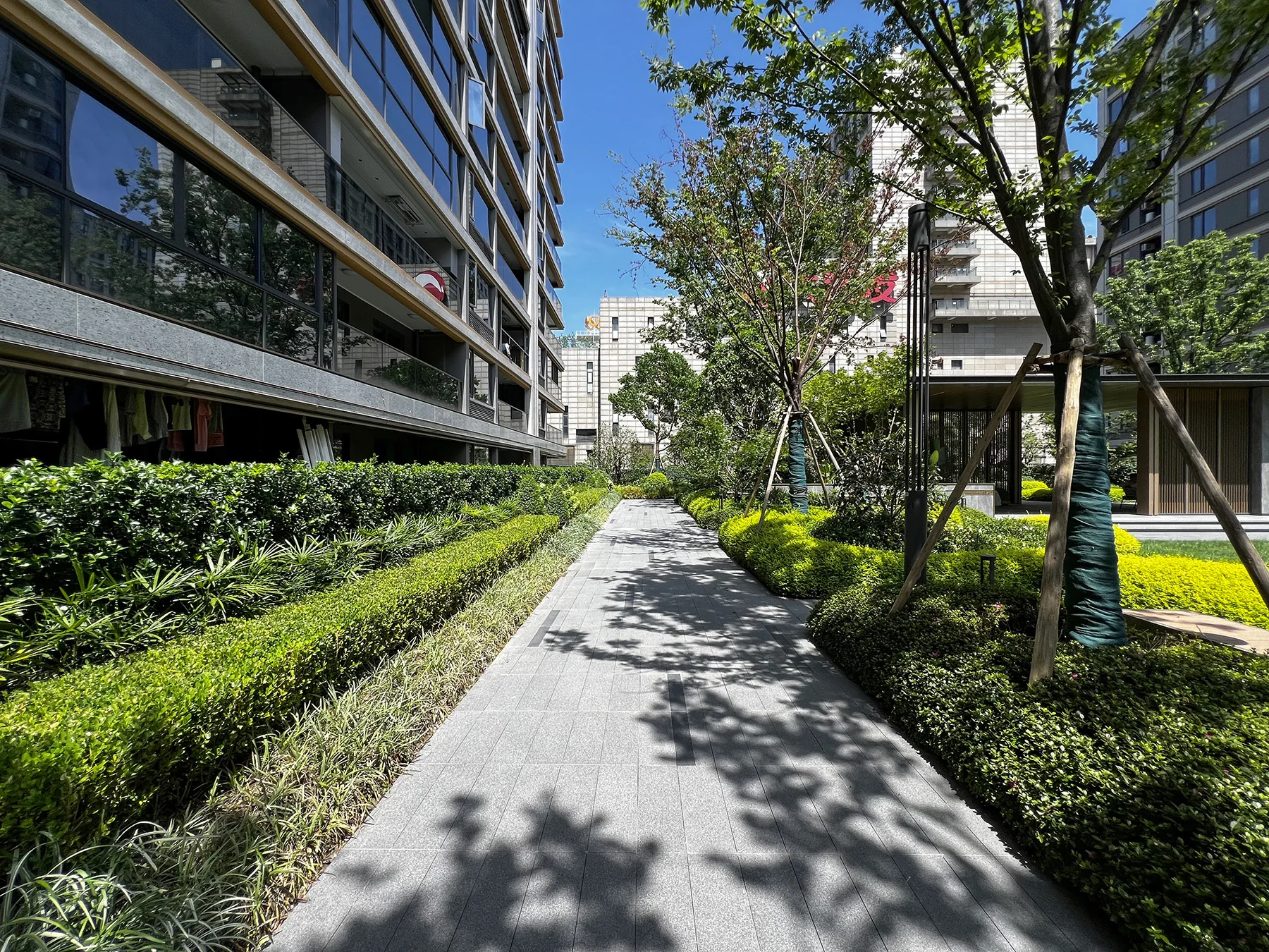 Spring Glow Star - Photo 5