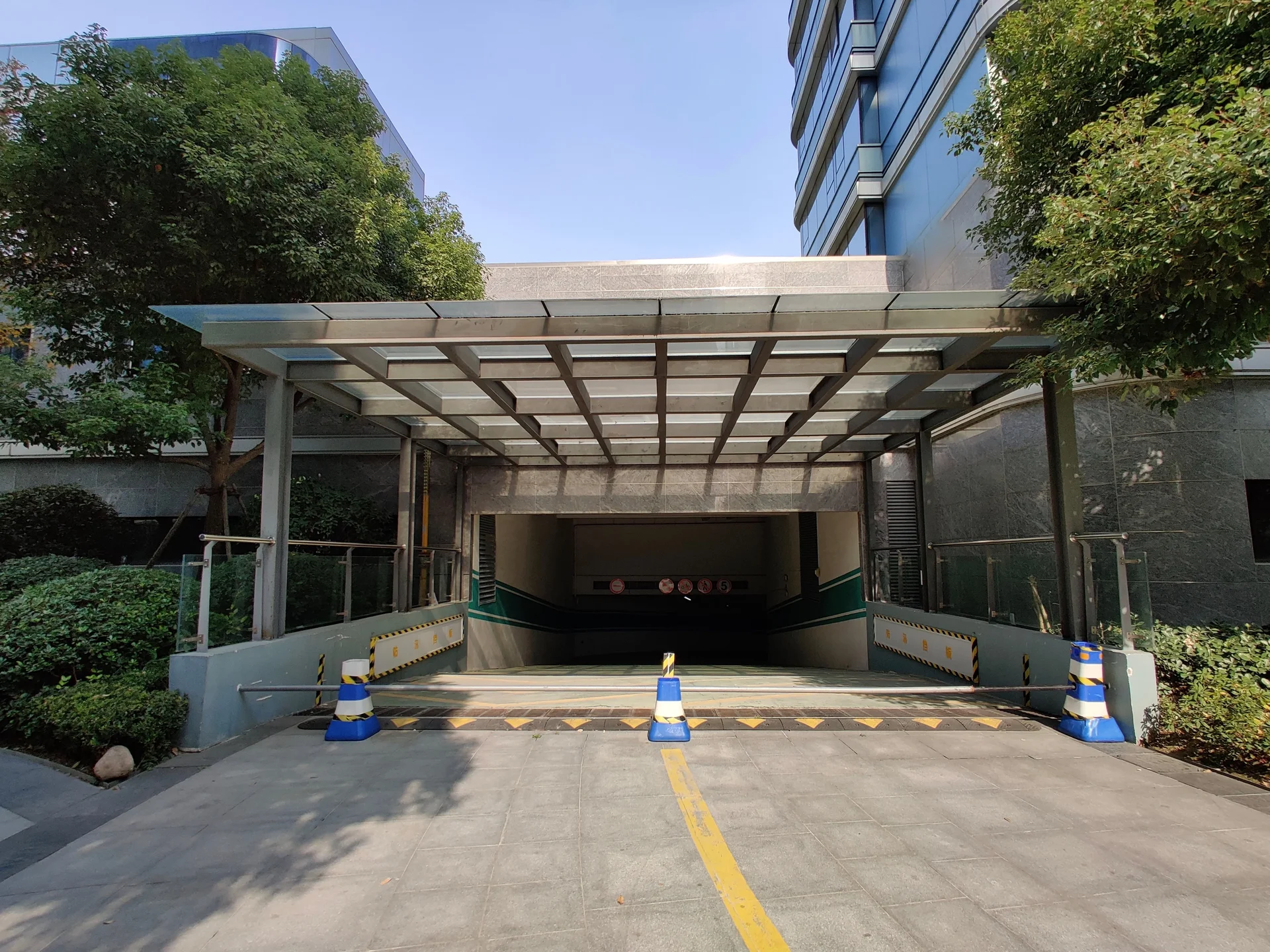 Blue Peacock - Photo 13