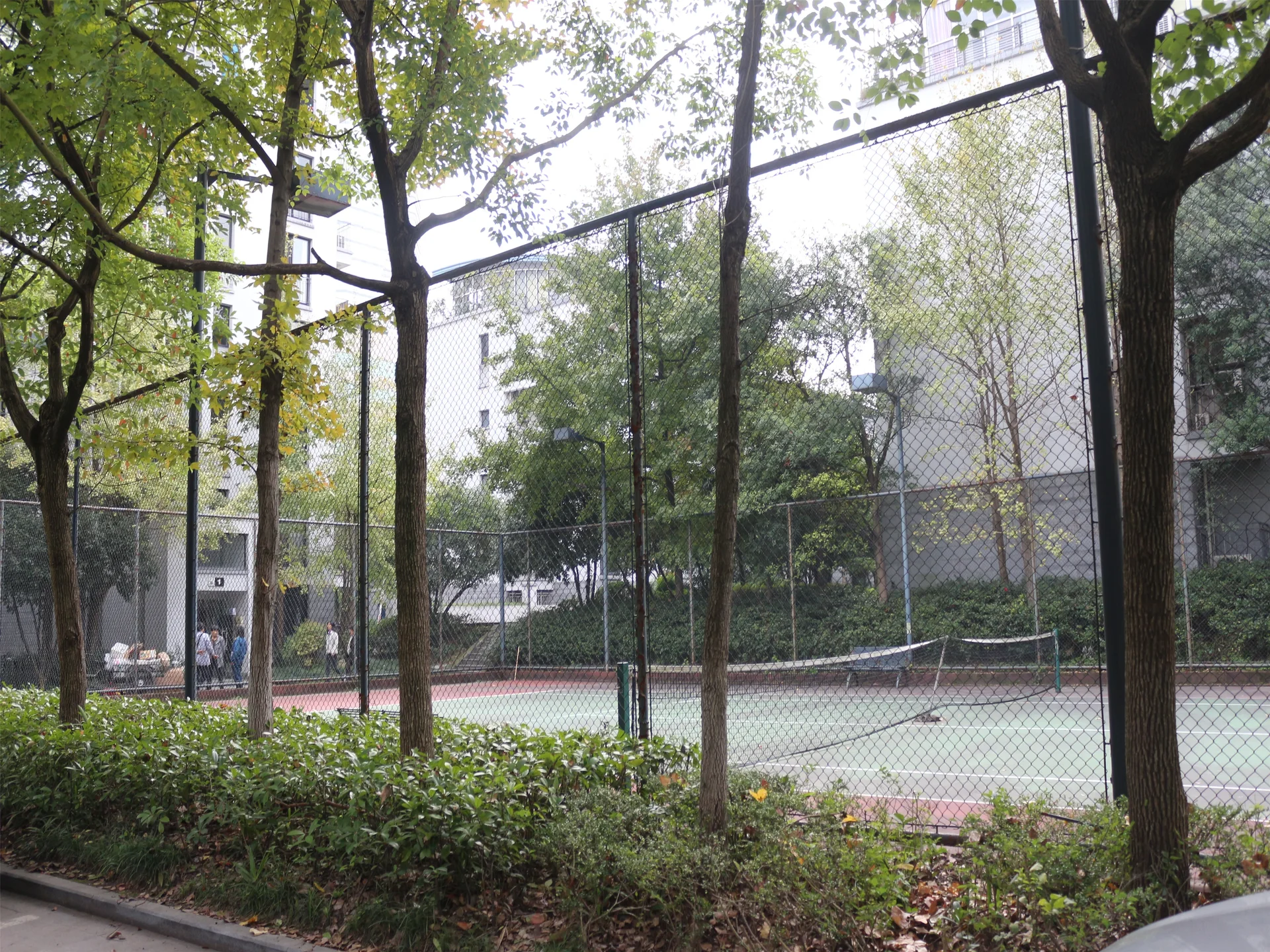 Jiangbin Garden - Photo 24