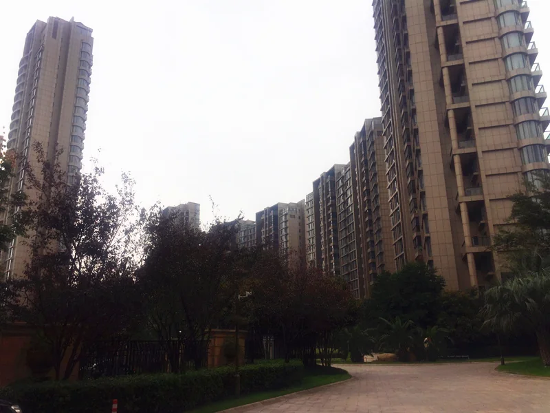 The Dreamland - Photo 8