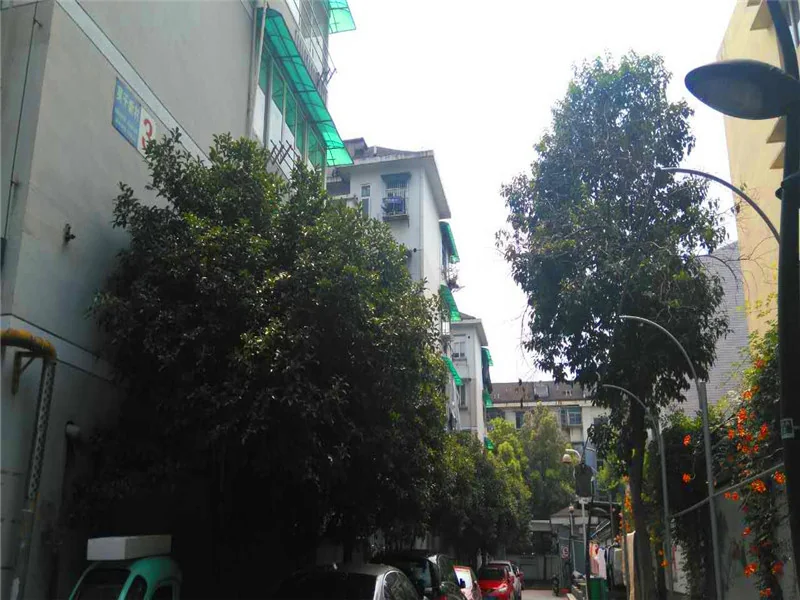 Mogan New Village - Photo 26