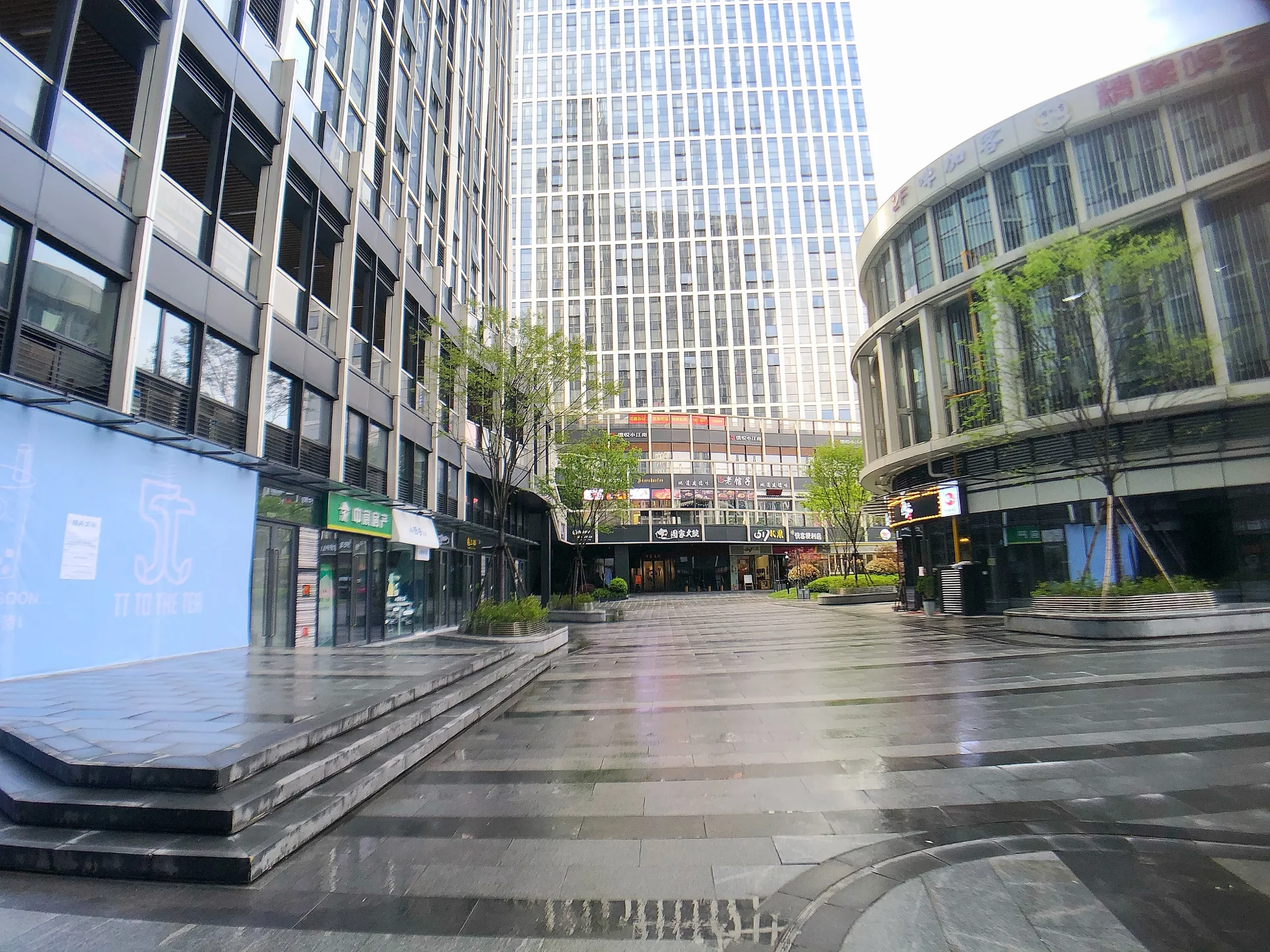 The New Edge - Photo 5