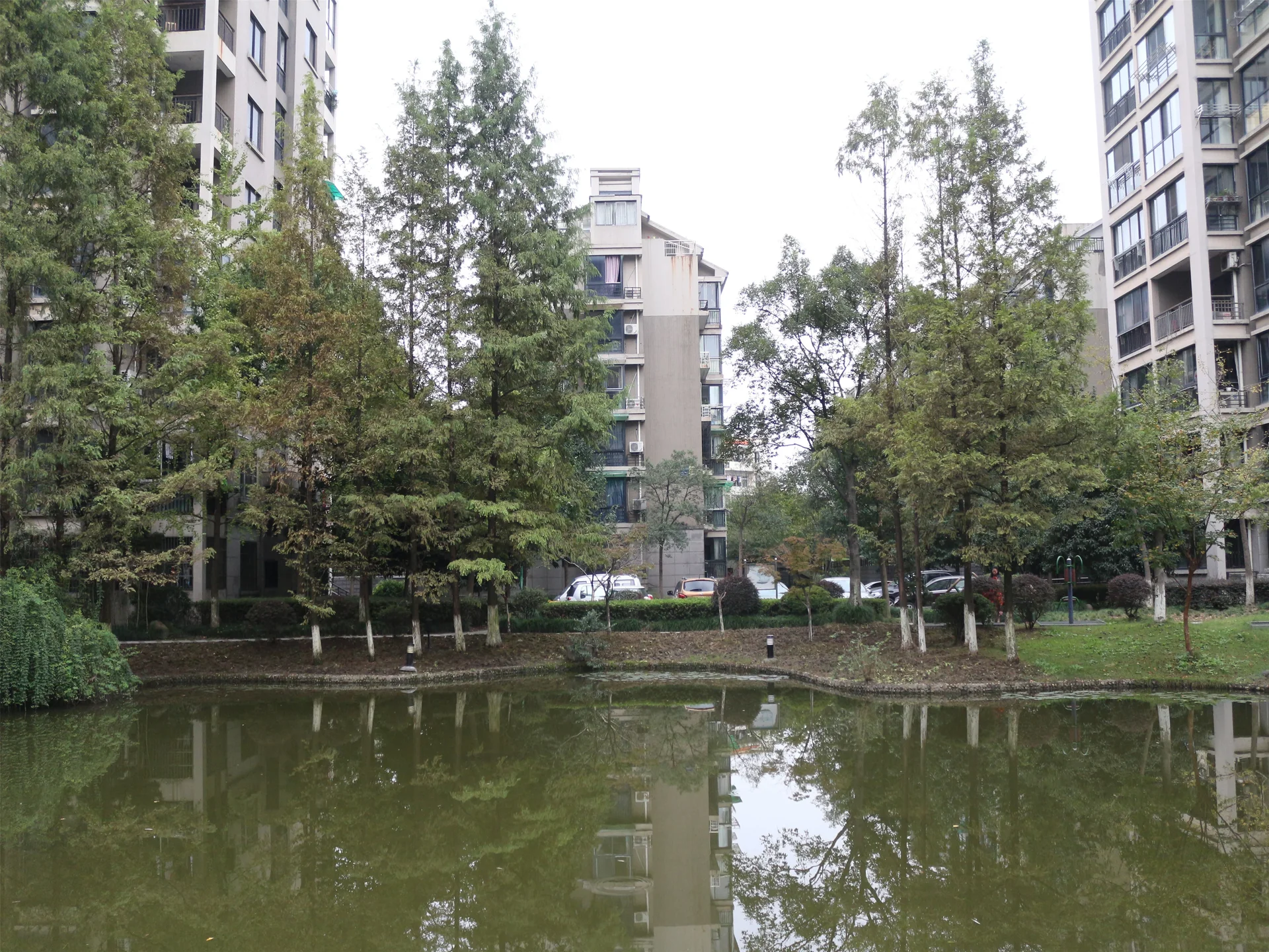 Linjiang Garden - Photo 23