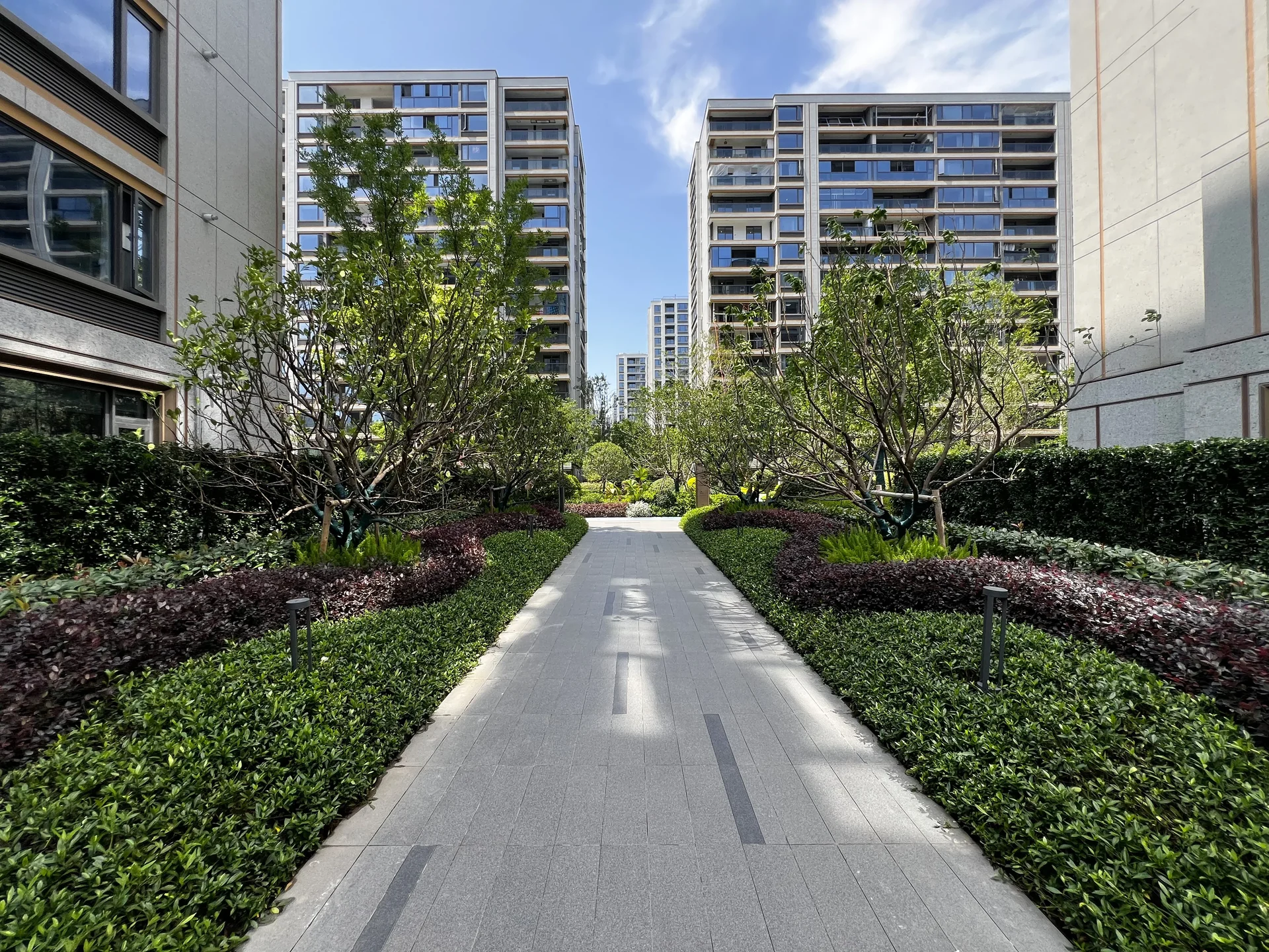 Spring Glow Star - Photo 4