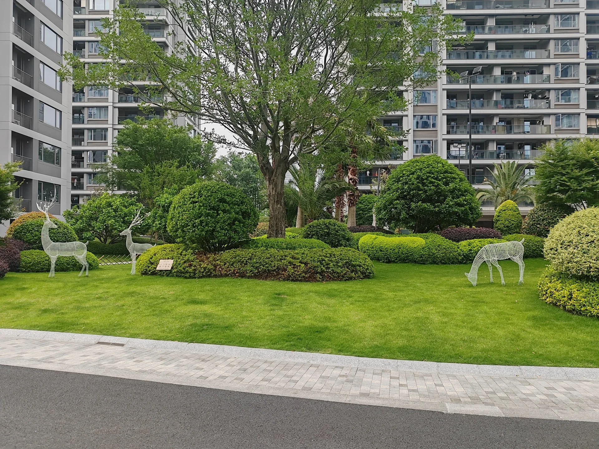 Star Jade Court - Photo 5