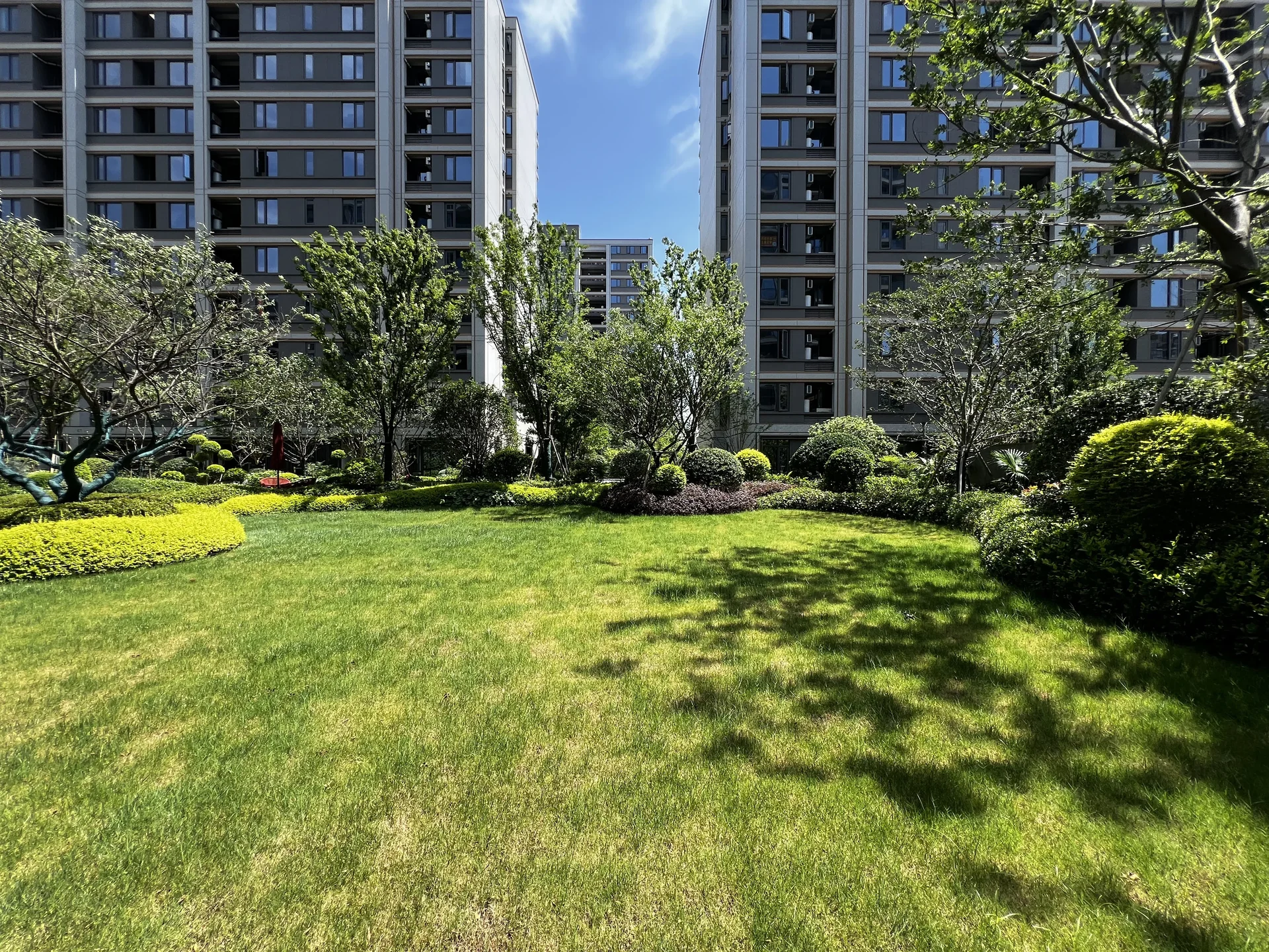 Spring Glow Star - Photo 6