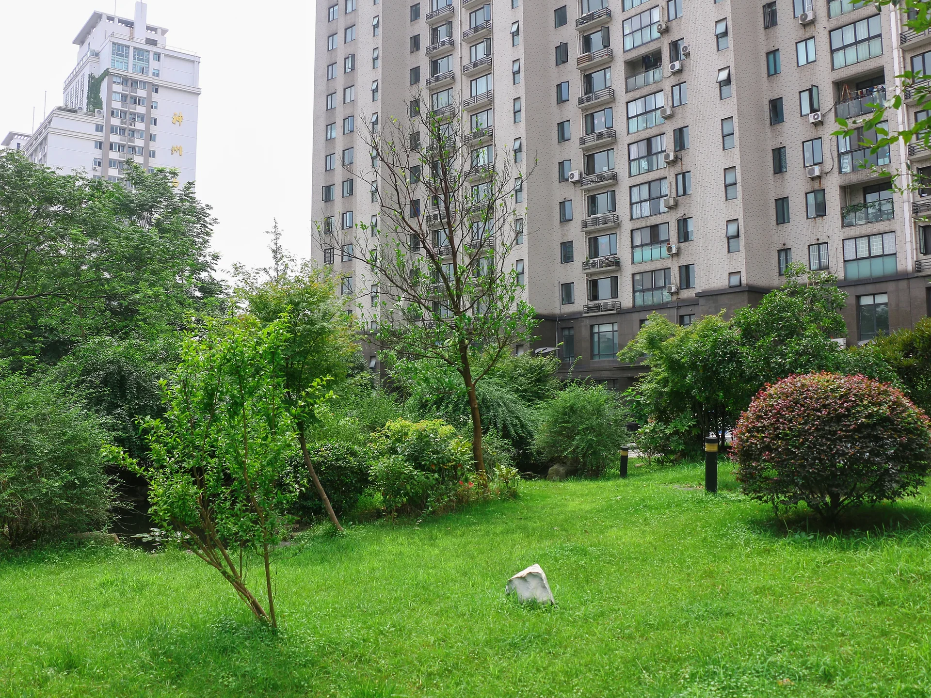 Natural Harvest Garden - Photo 25