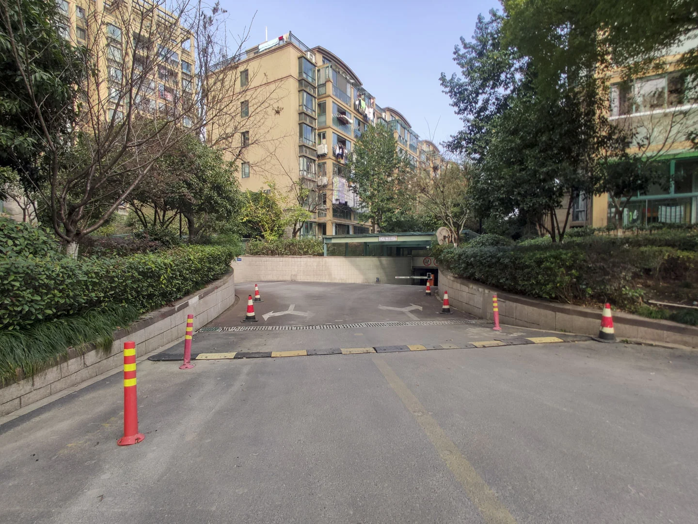 Flourish Garden - Photo 23