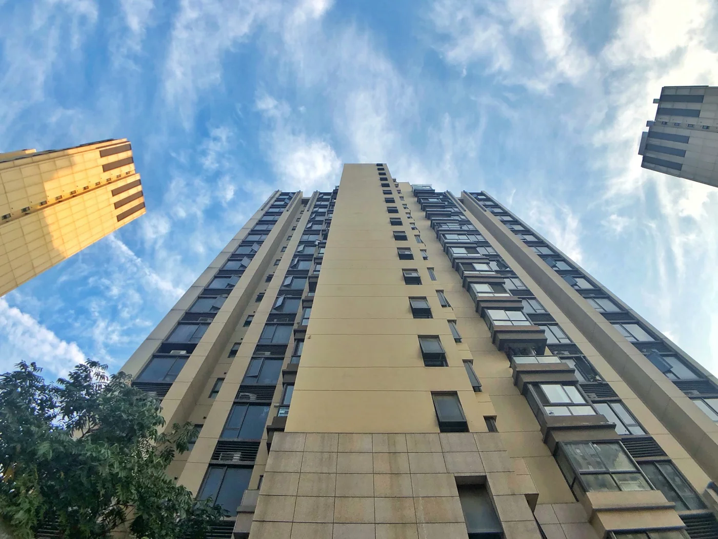 Hopson Apex Court - Photo 4