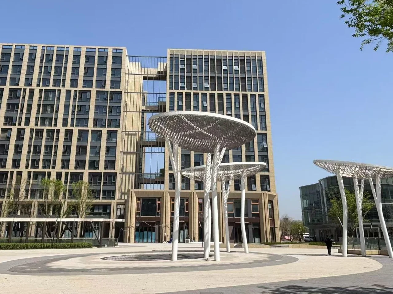 Xixi Noble Joy - Photo 5