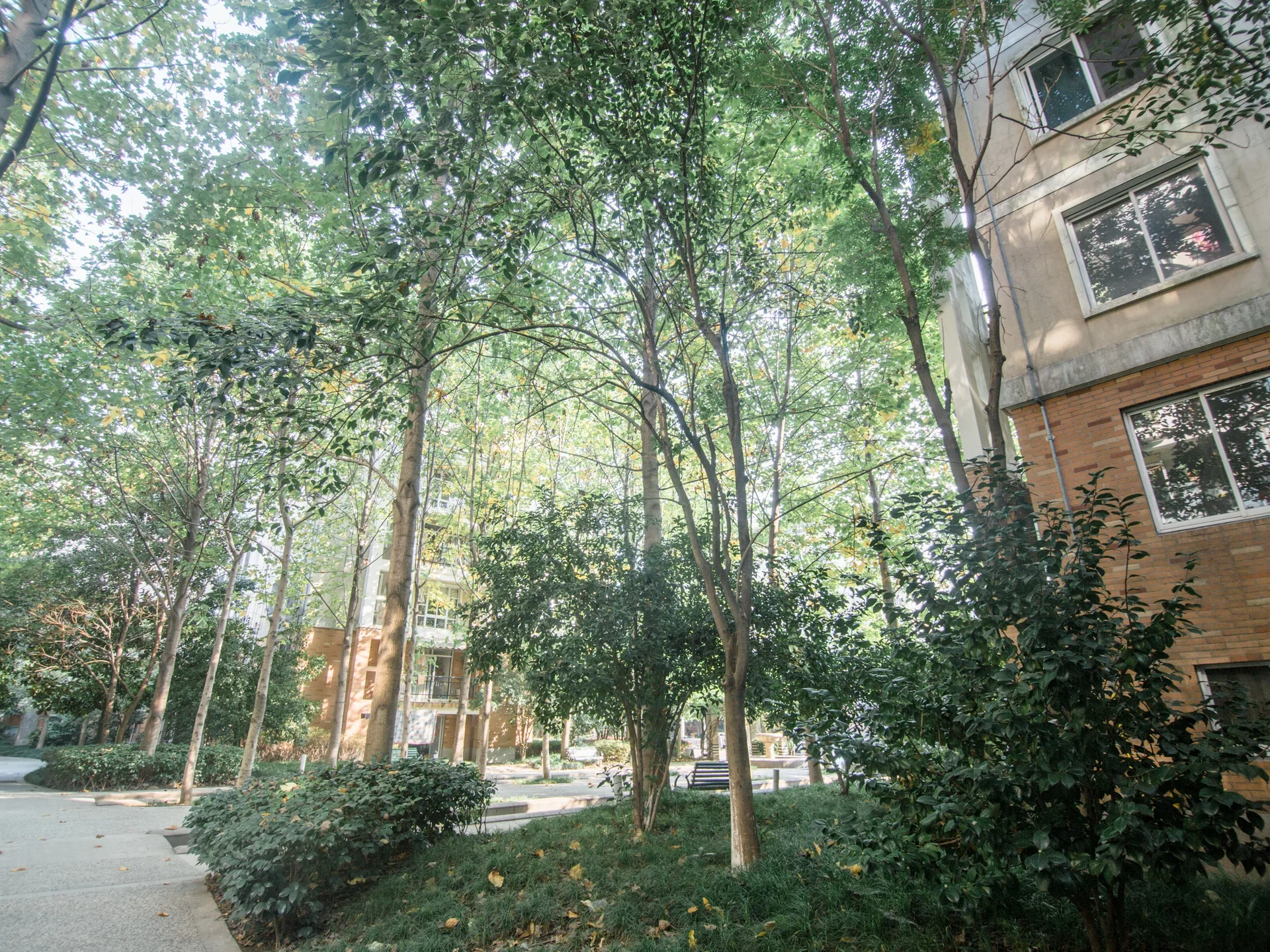 Xingzhou Garden  - Photo 16