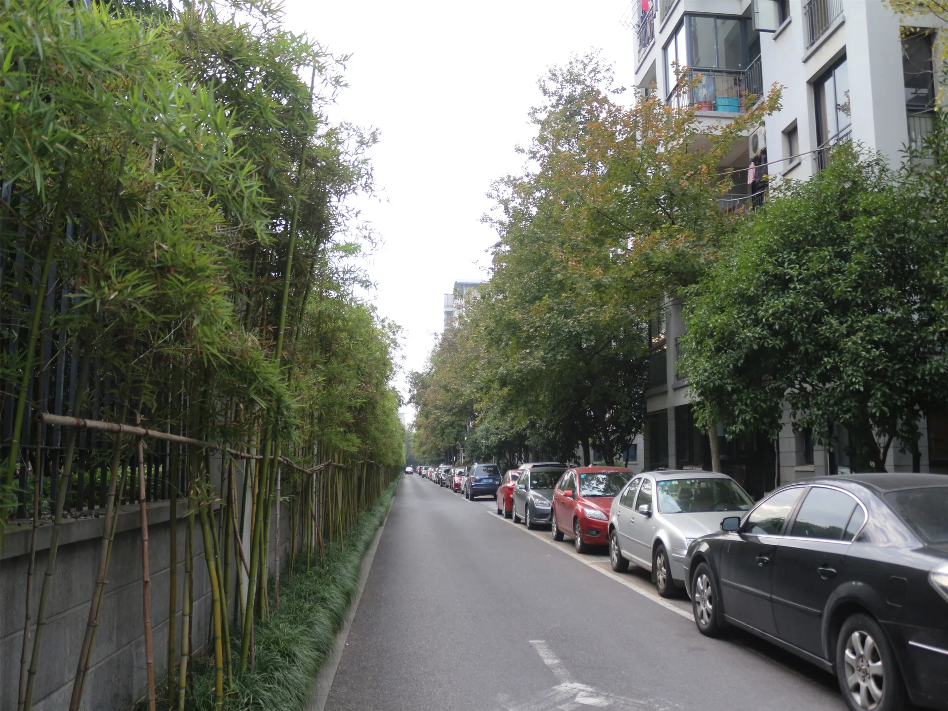 Jiangbin Garden - Photo 15