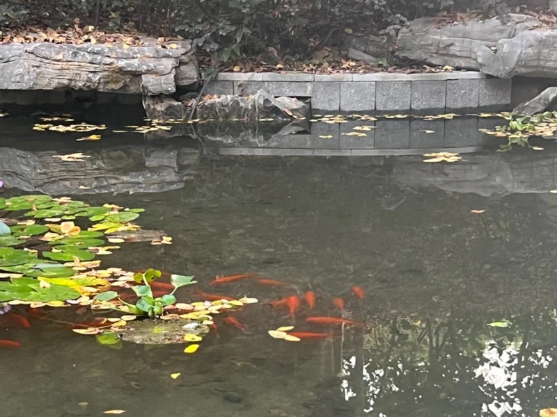 合景映月台 - Photo 5