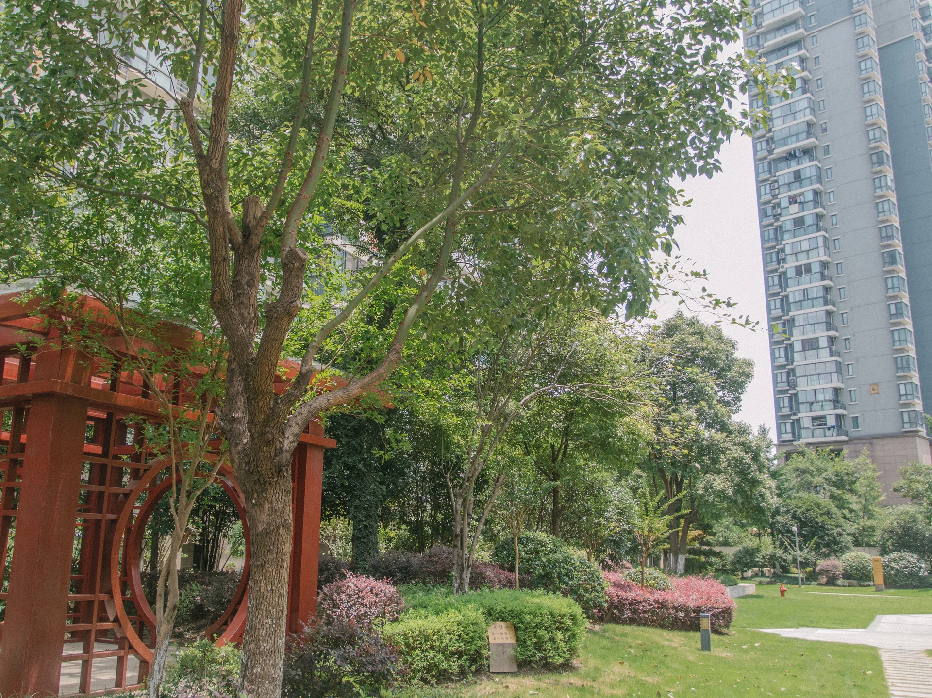 Modern Scenic Garden - Photo 8