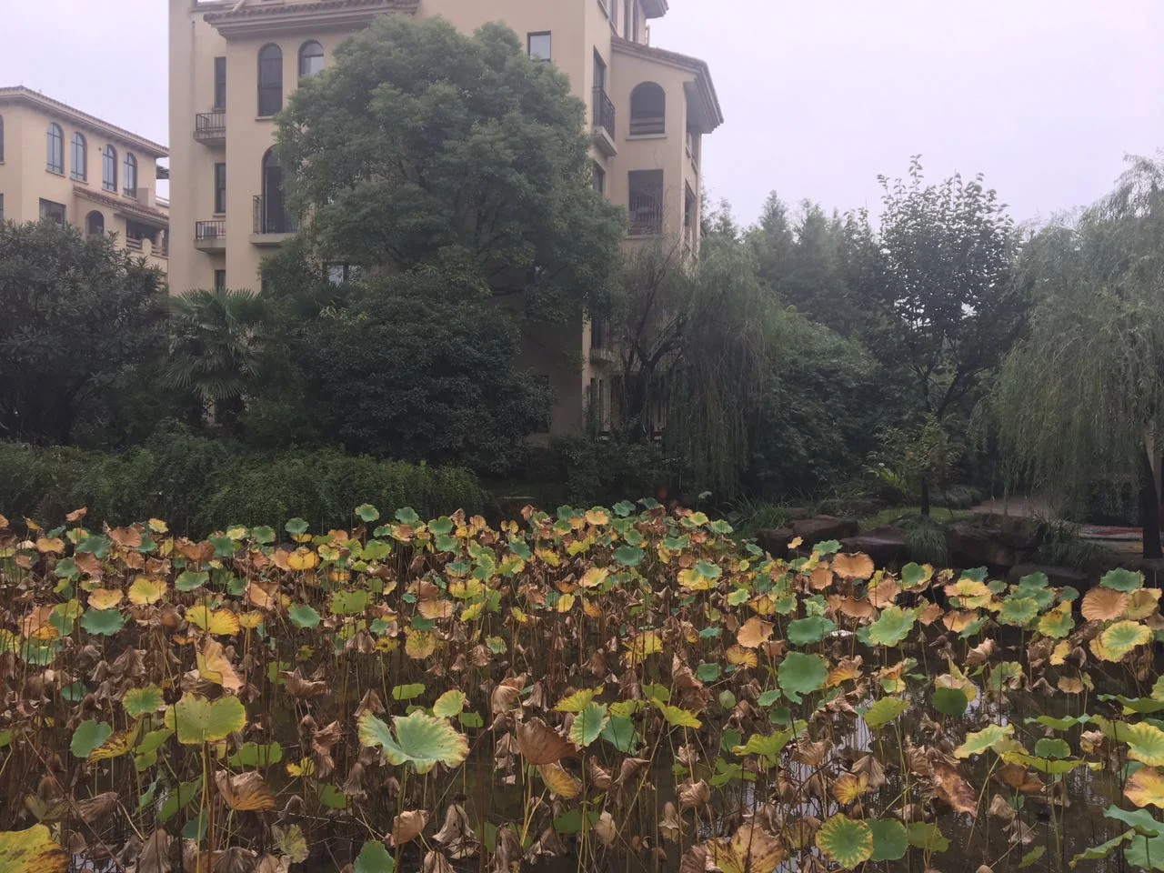 Geya Apartment - Photo 19