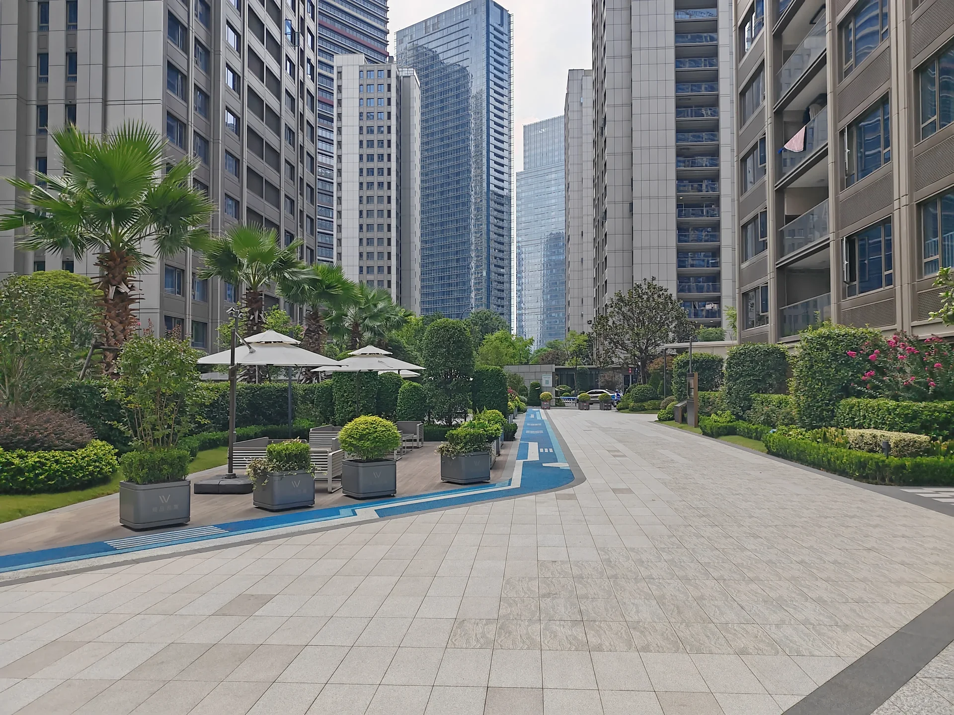 World View - Photo 4