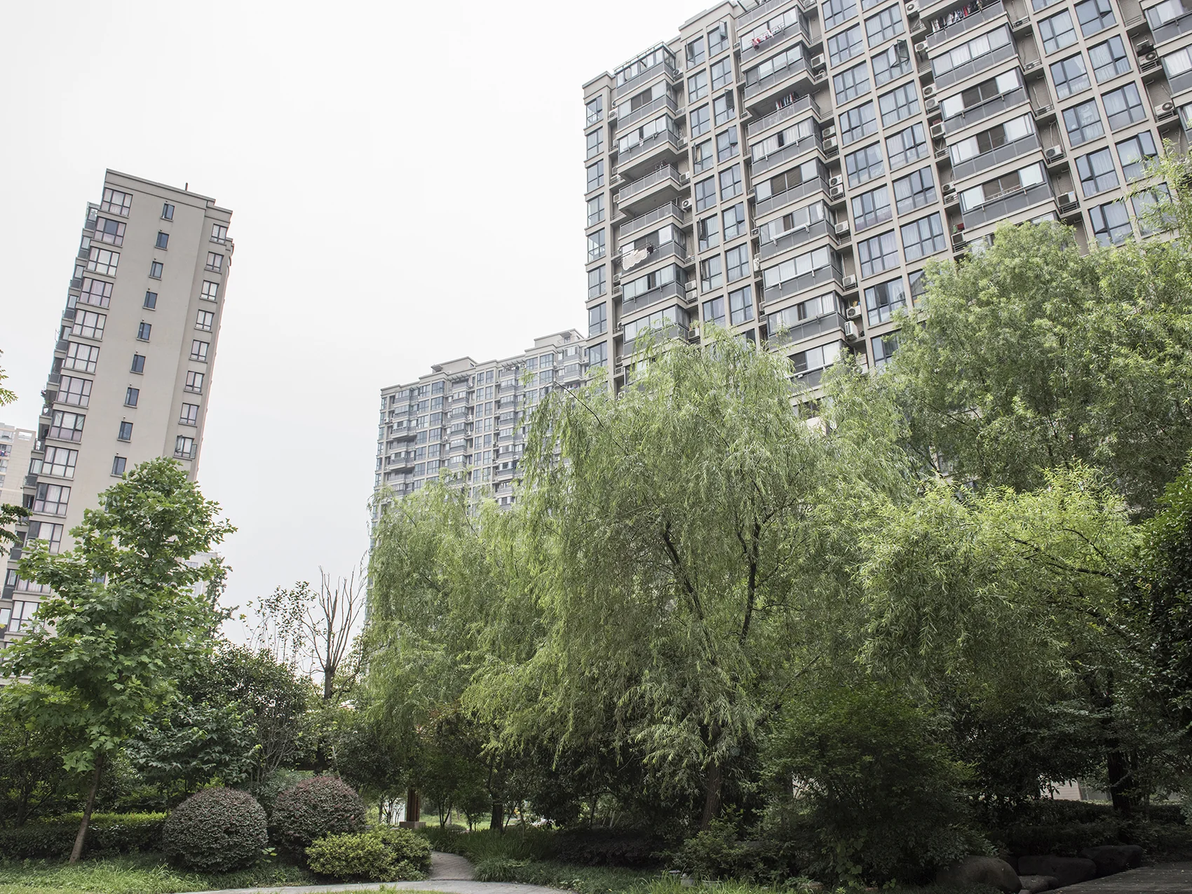 Yunxin  Garden - Photo 5