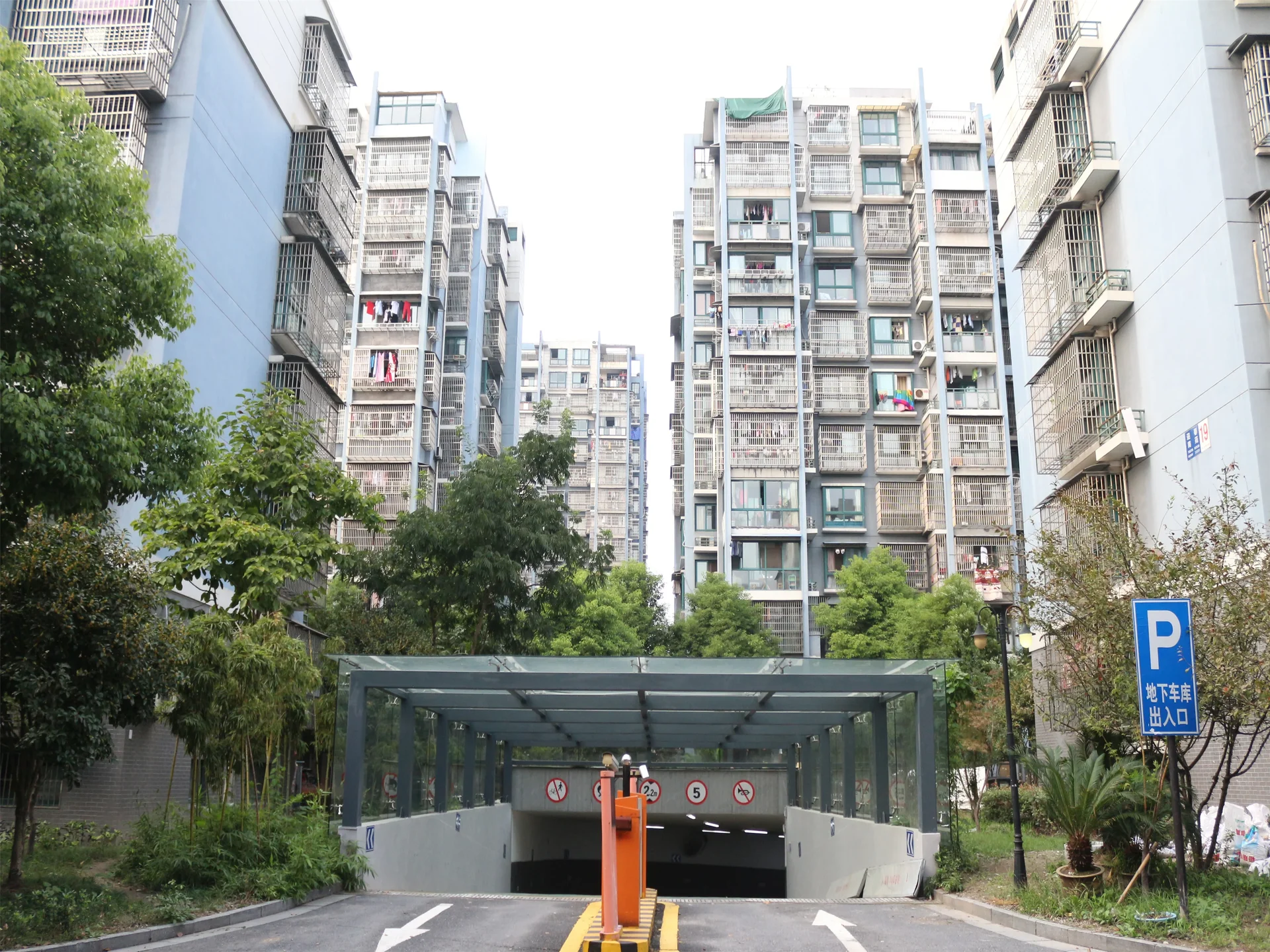 YC South Garden - Photo 36