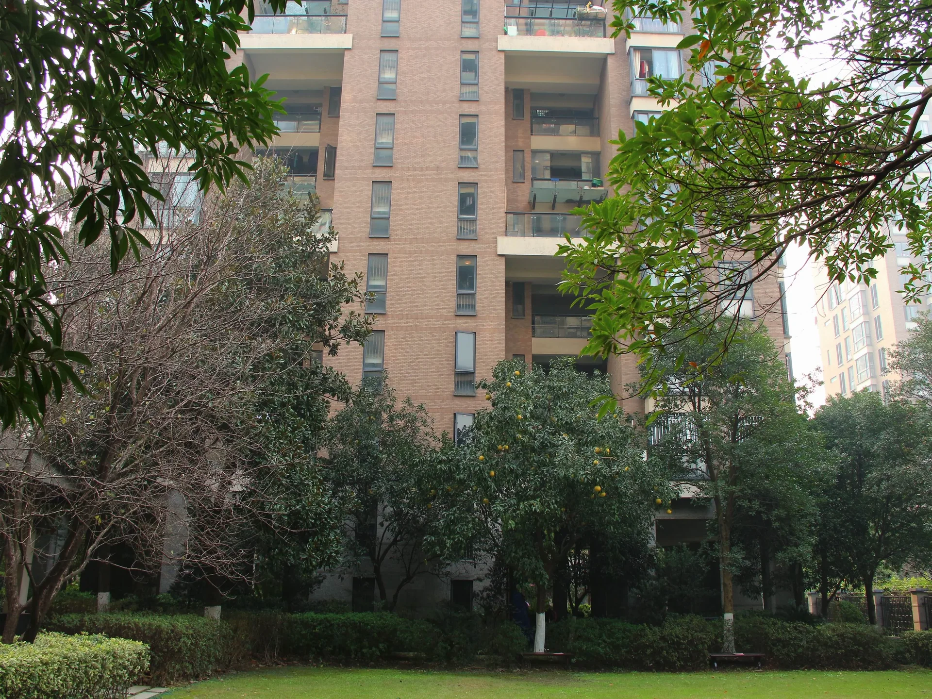 New Century City - Photo 23