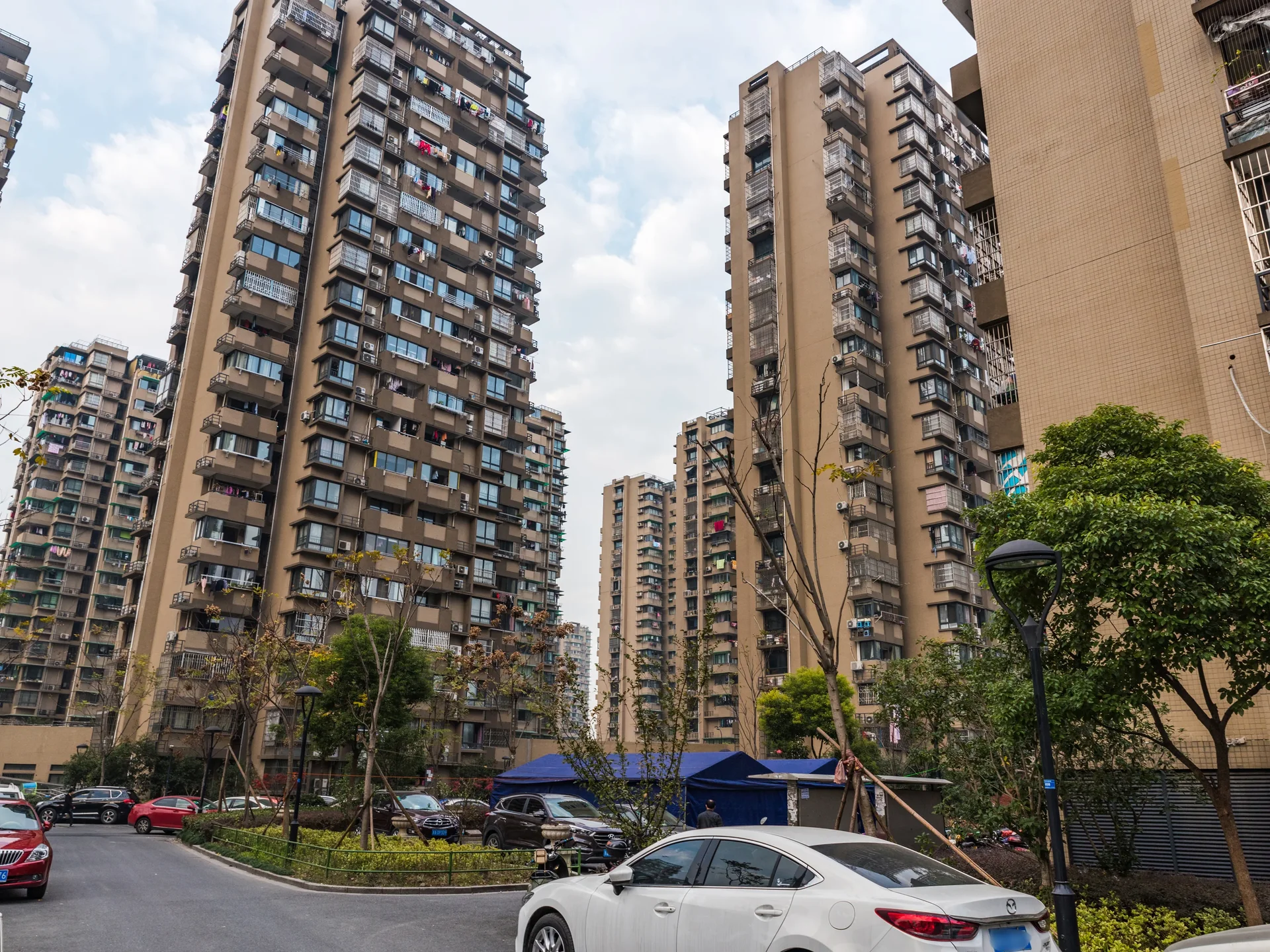 Riverview Garden No.1 - Photo 2