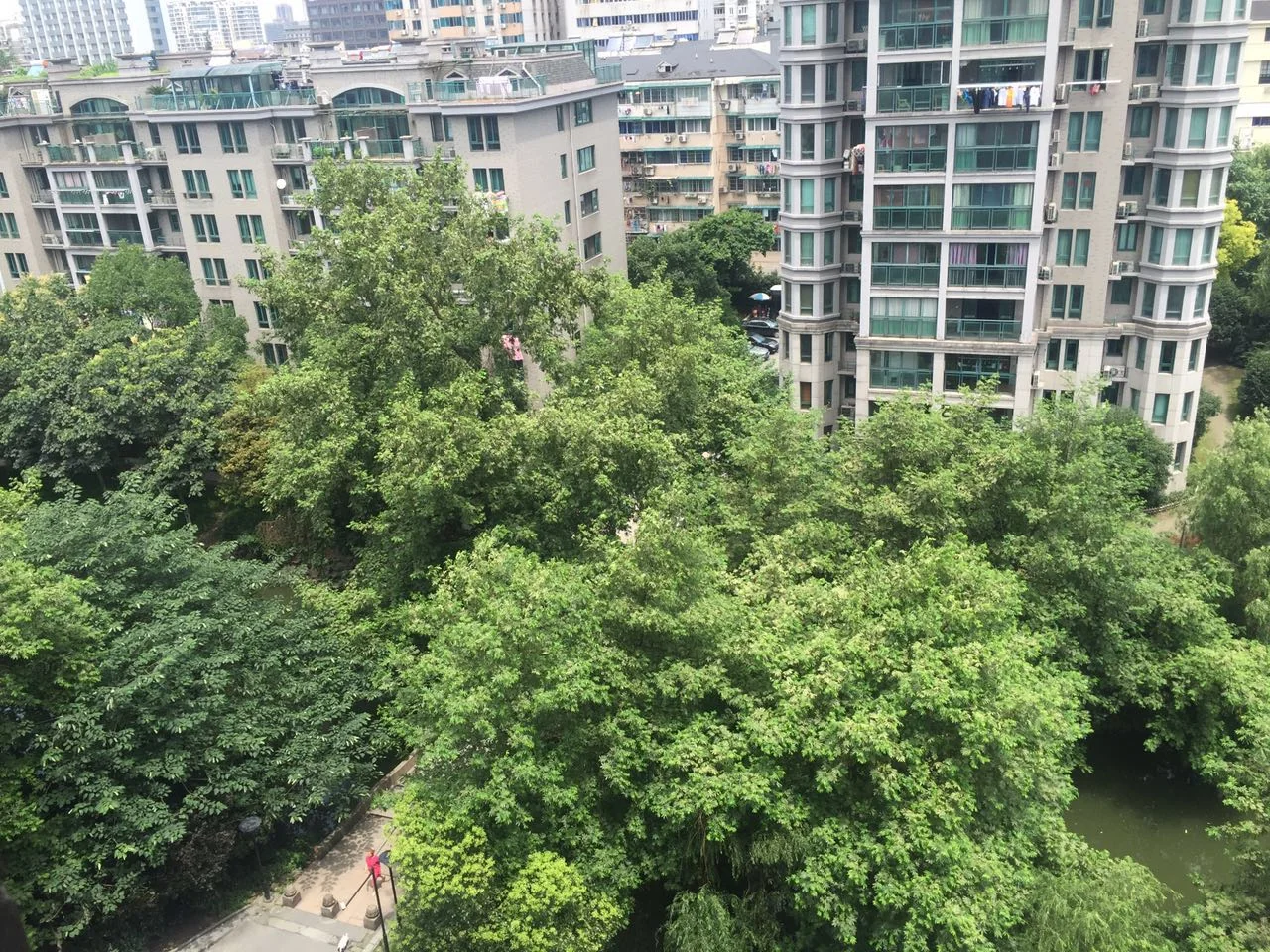 Qianshuiwan City Garden - Photo 22