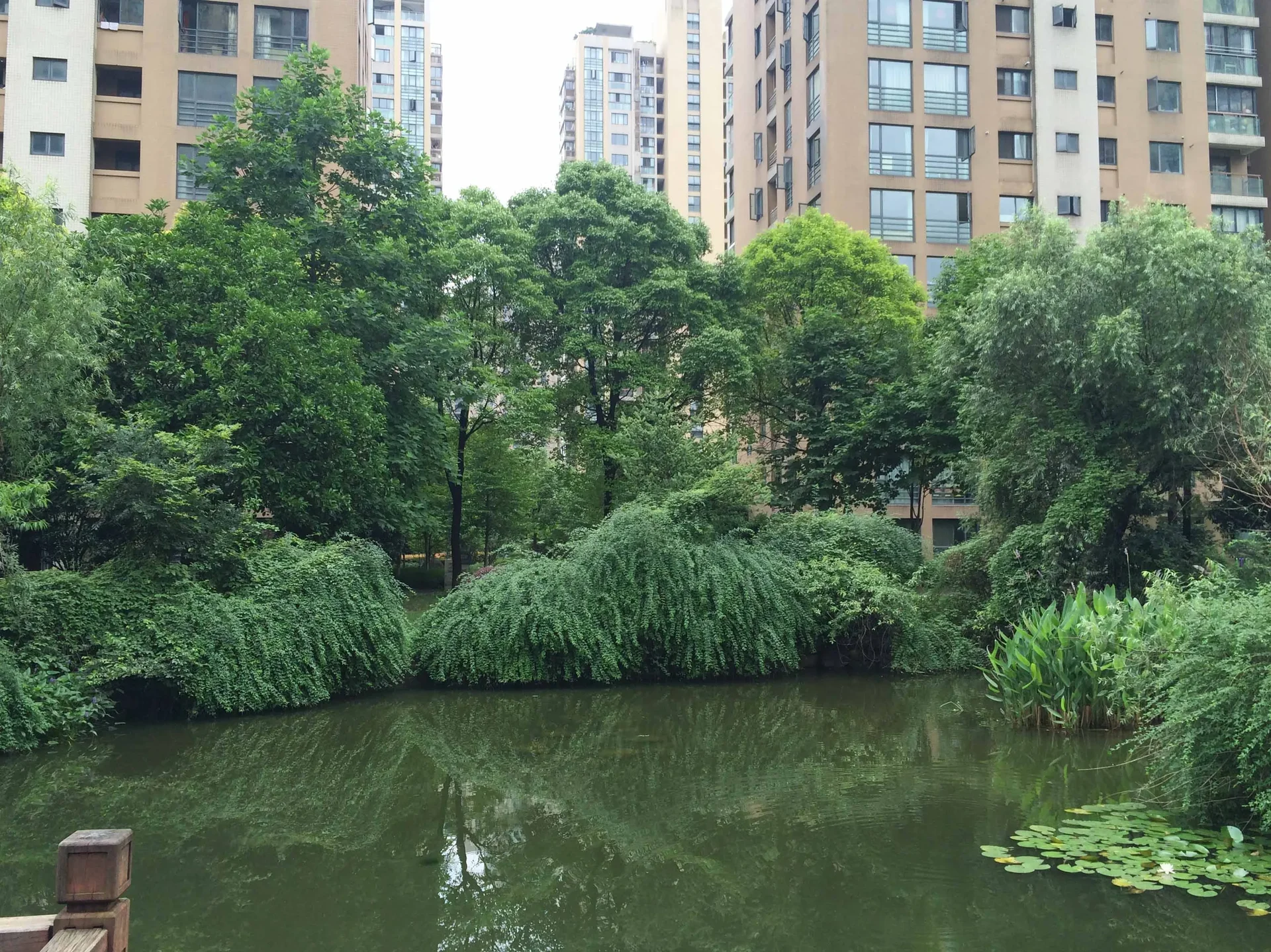 Elegant Qiantang - Photo 16