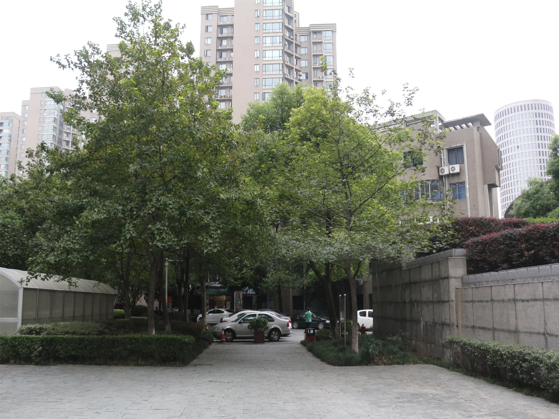 Linjiang Garden - Photo 41