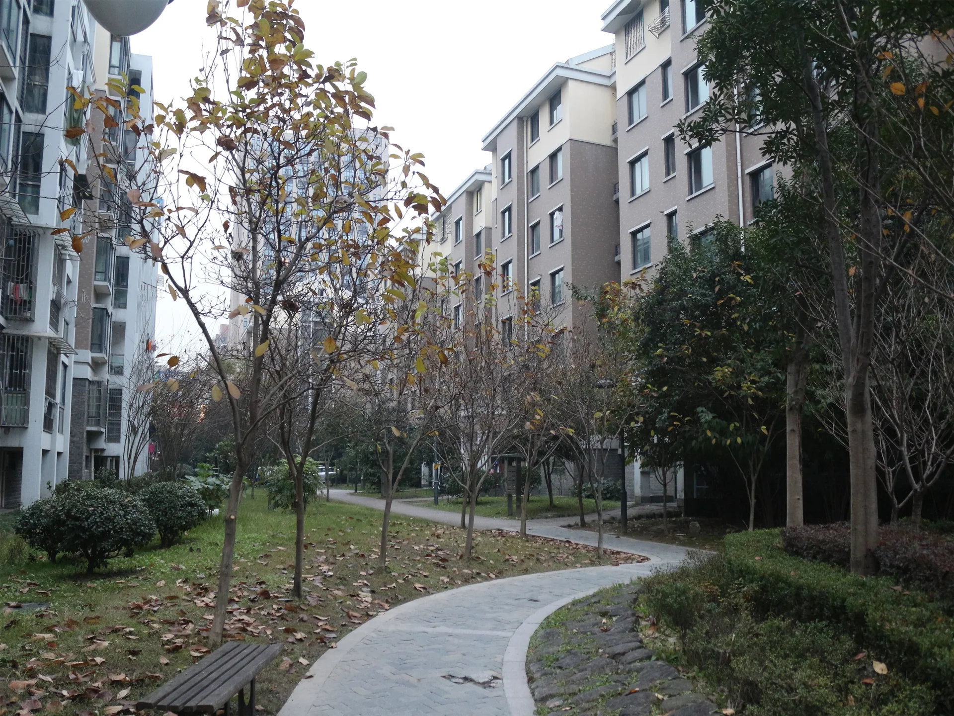 Harmony Garden - Photo 5