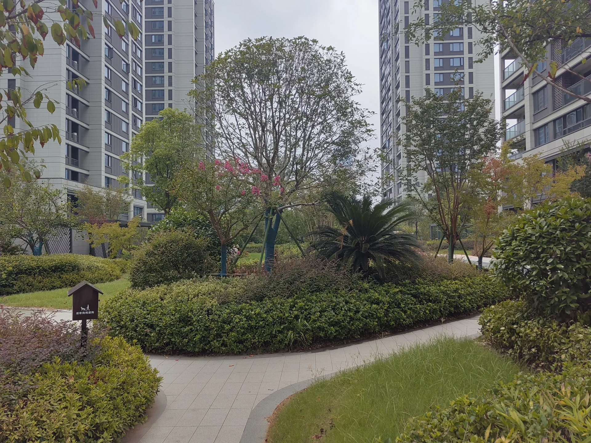 Serene Grace - Photo 4